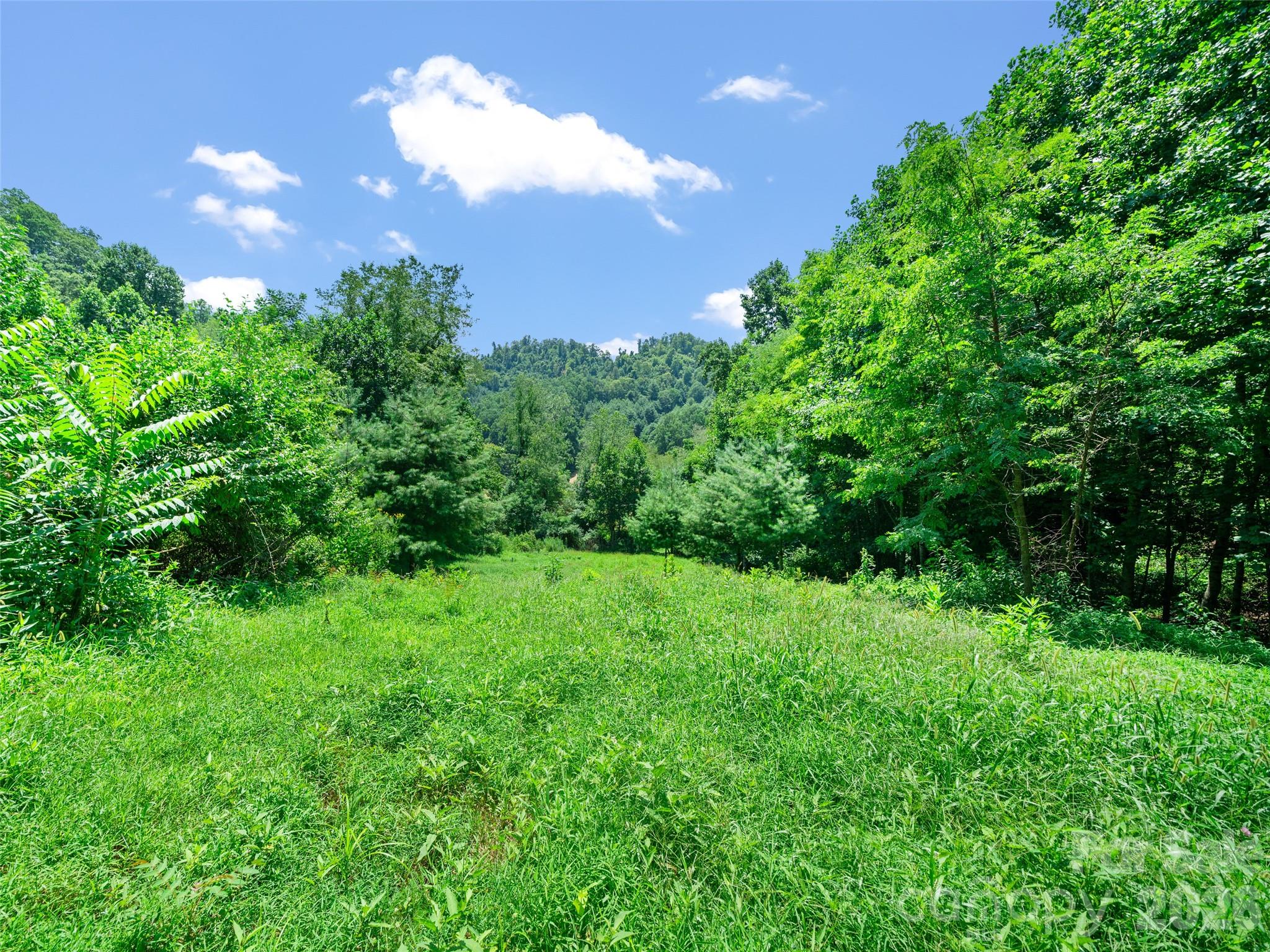 1377 Langford Branch Road Property Photo 4
