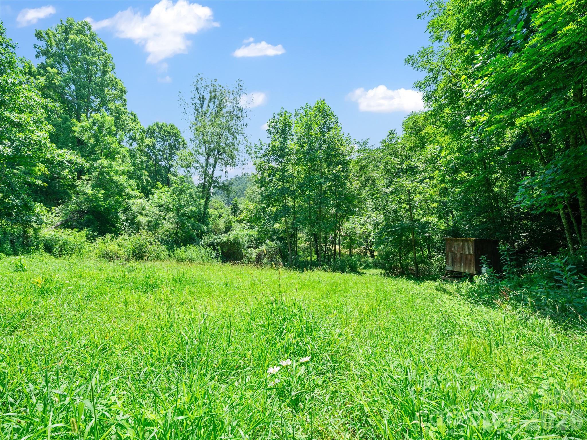 1377 Langford Branch Road Property Photo 5