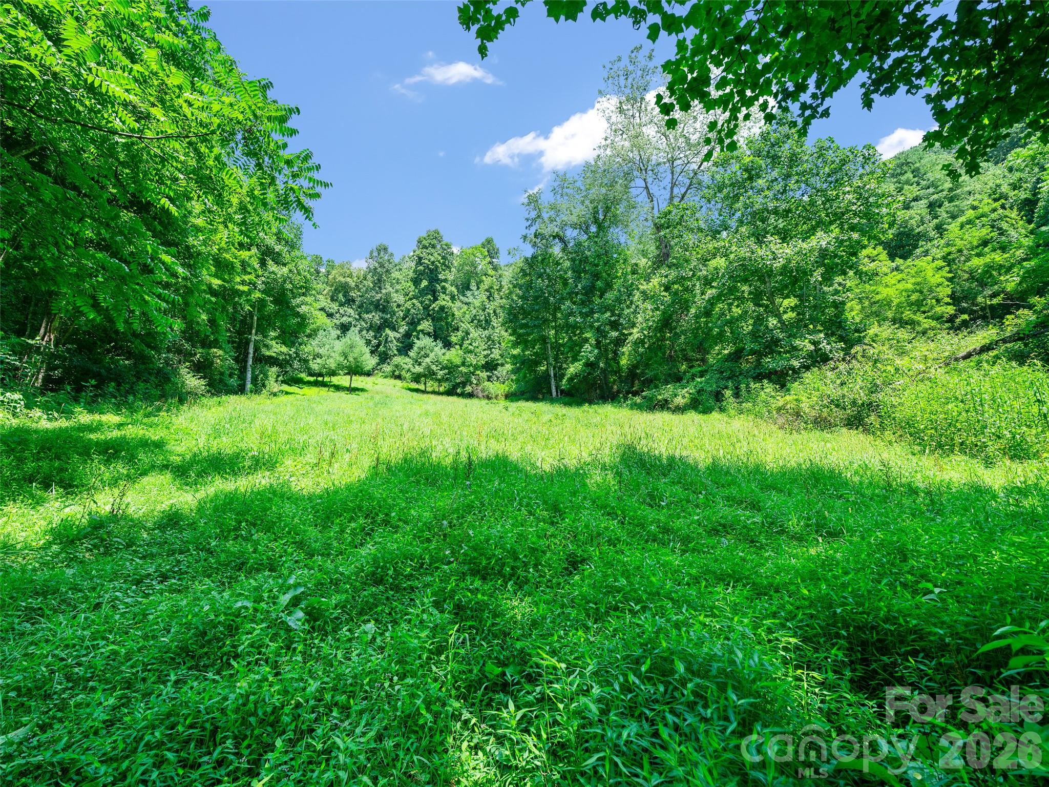 1377 Langford Branch Road Property Photo 6