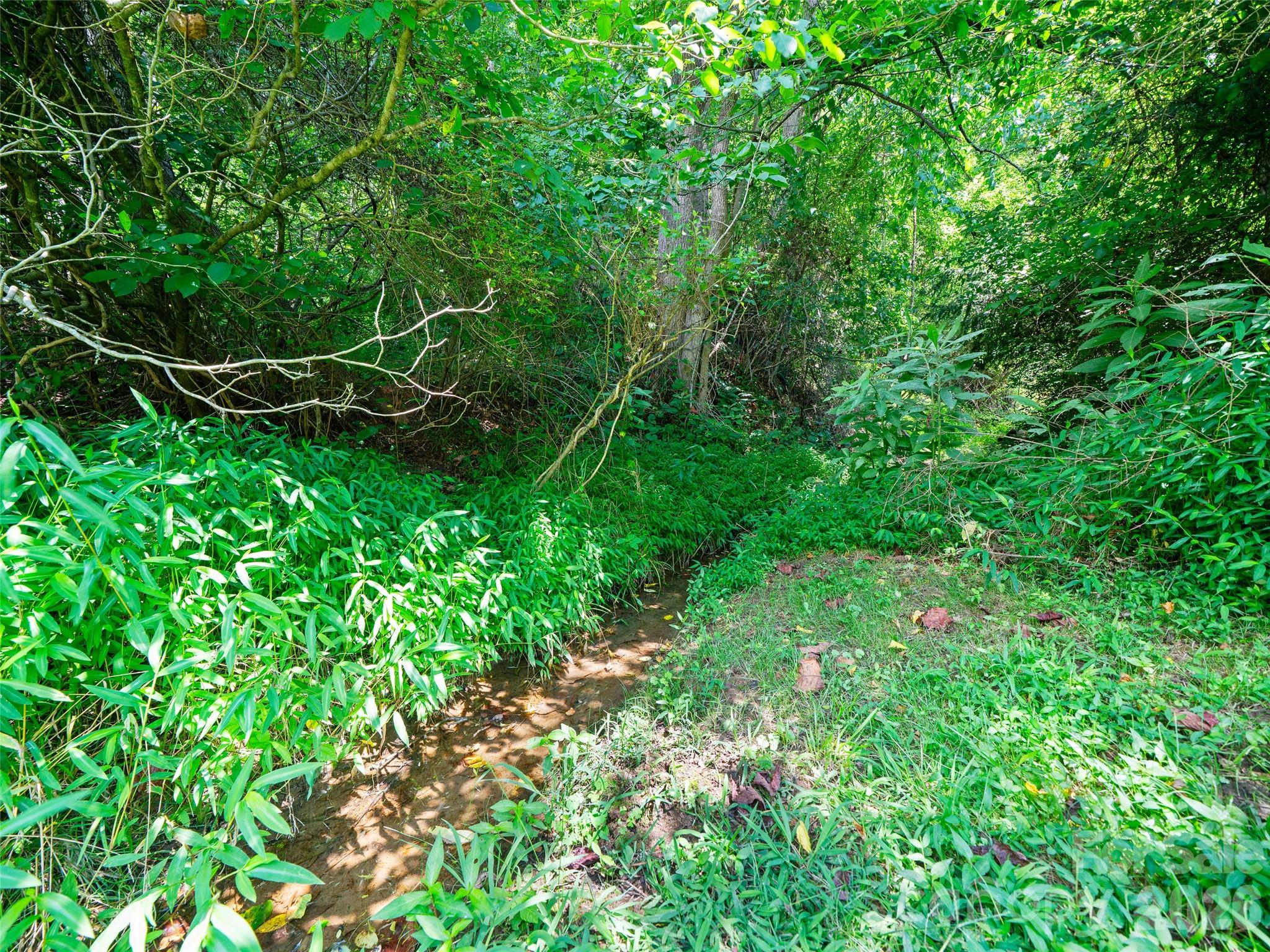 1377 Langford Branch Road Property Photo 7