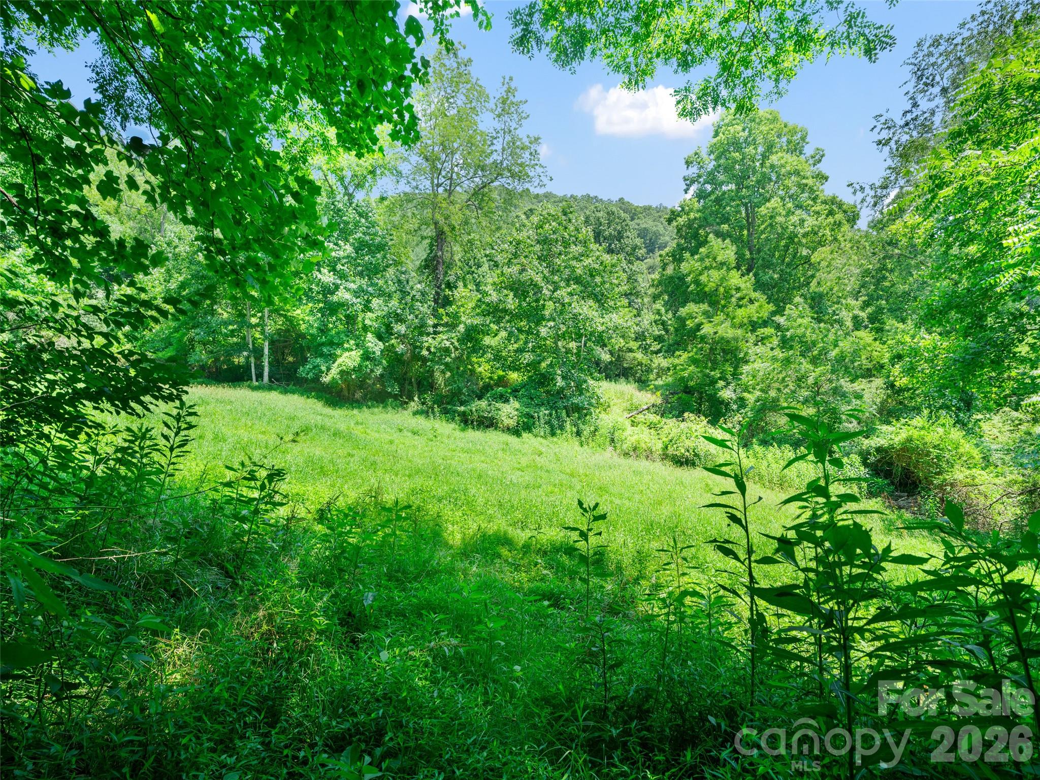 1377 Langford Branch Road Property Photo 13