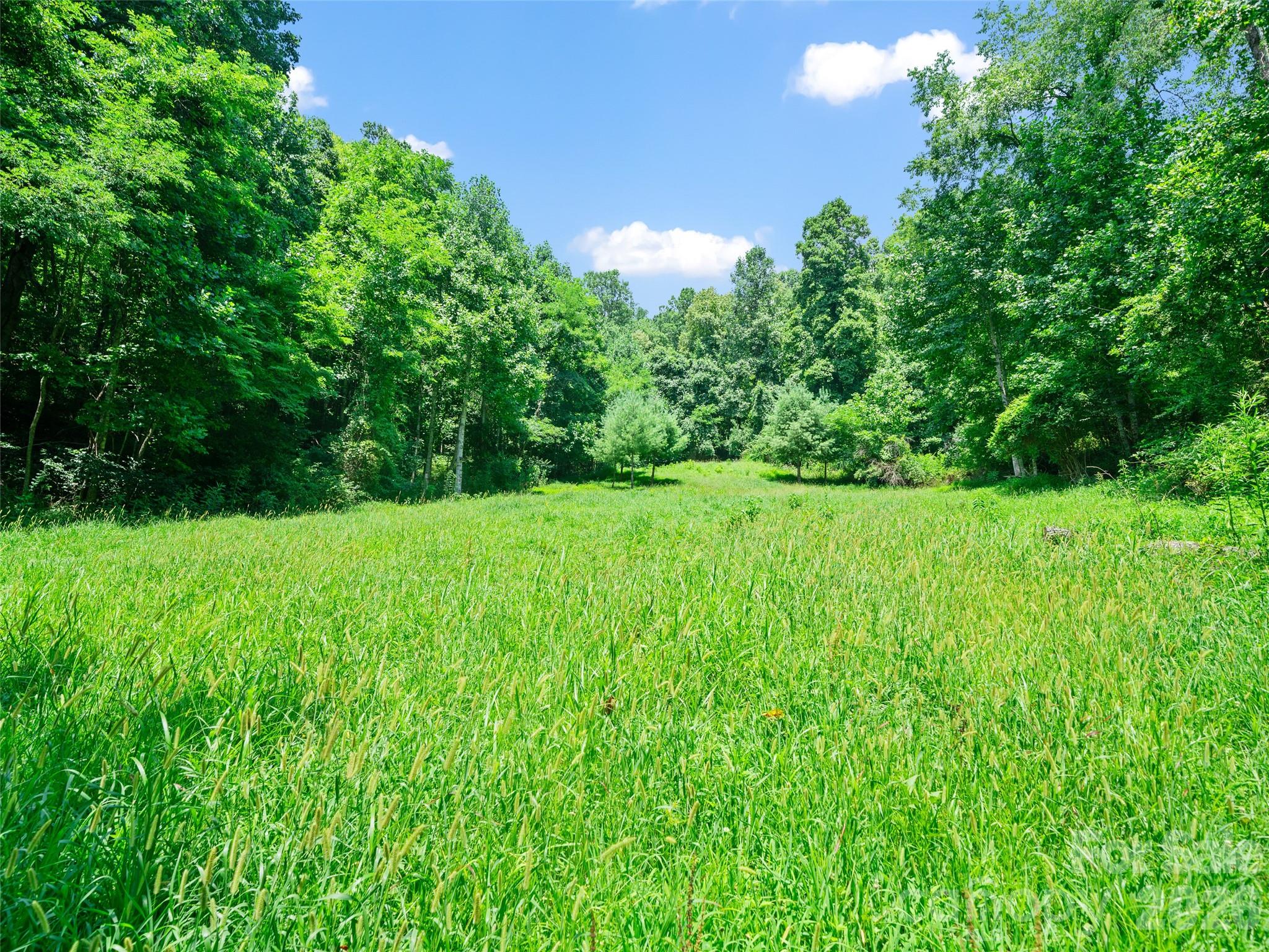 1377 Langford Branch Road Property Photo 17