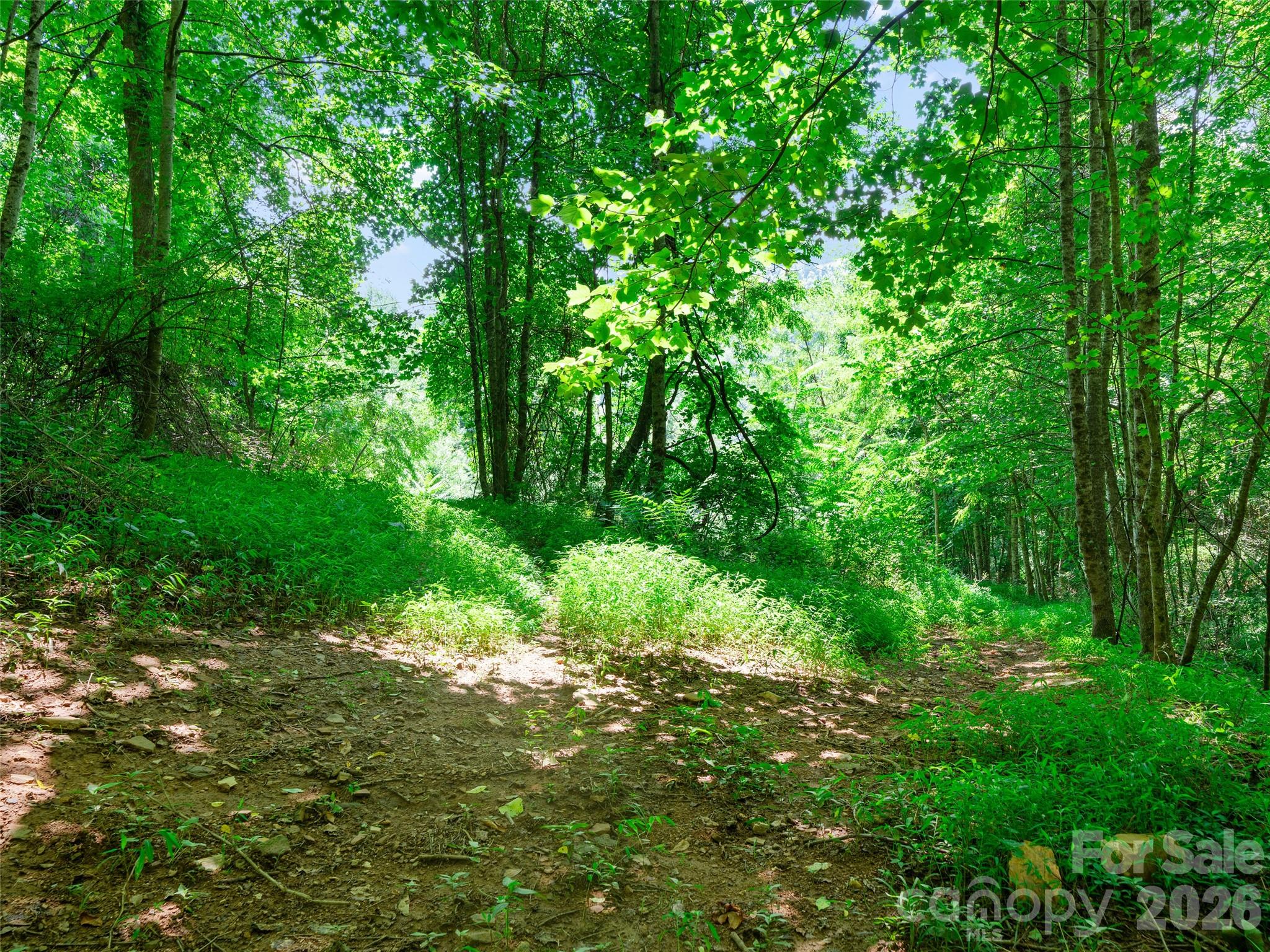 1377 Langford Branch Road Property Photo 18