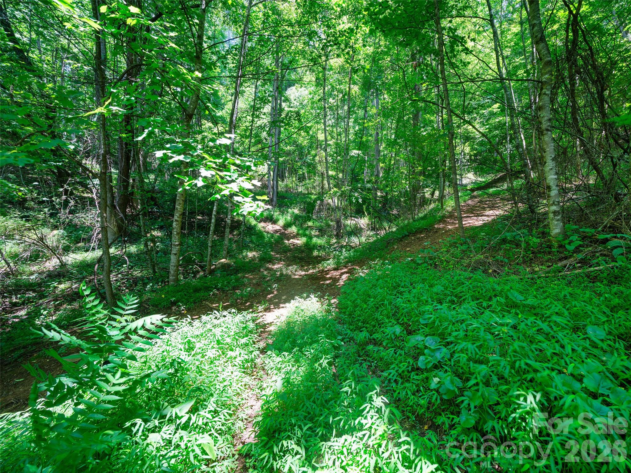 1377 Langford Branch Road Property Photo 19