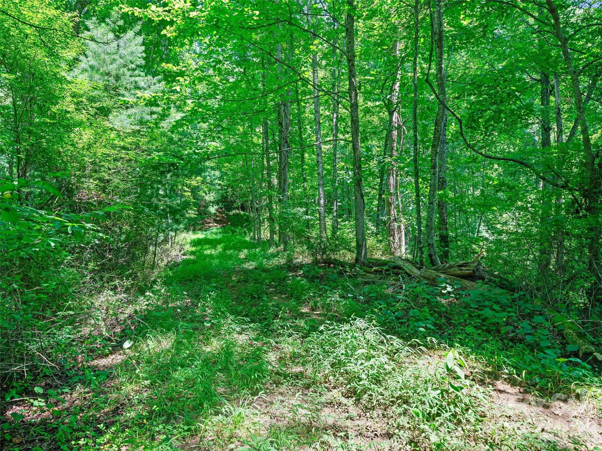 1377 Langford Branch Road Property Photo 20