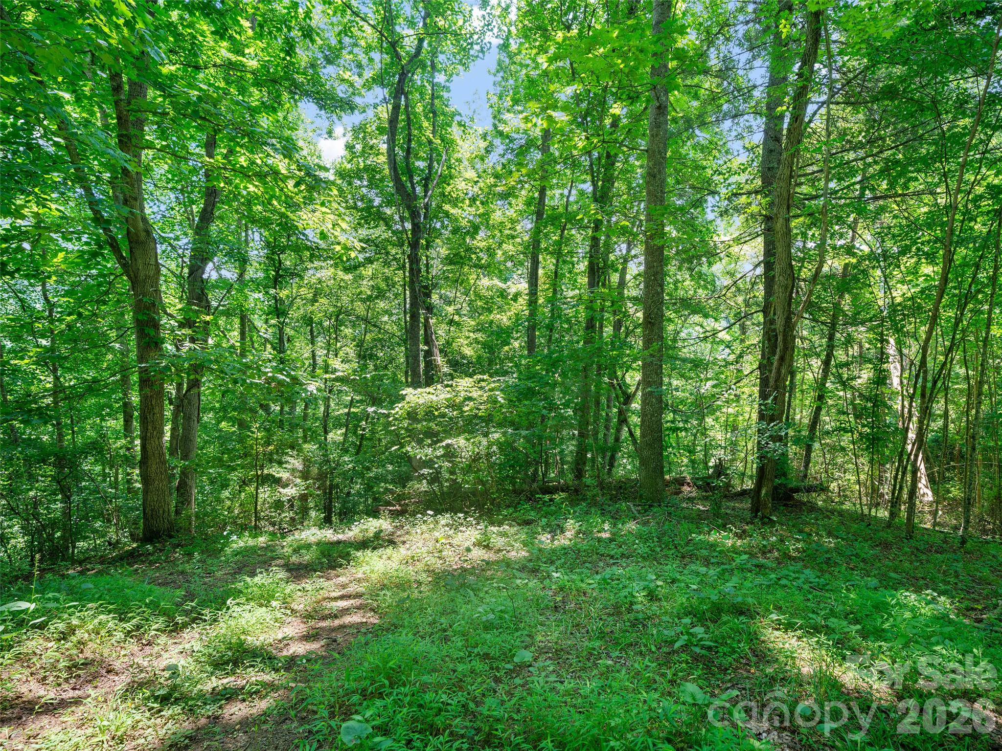 1377 Langford Branch Road Property Photo 21