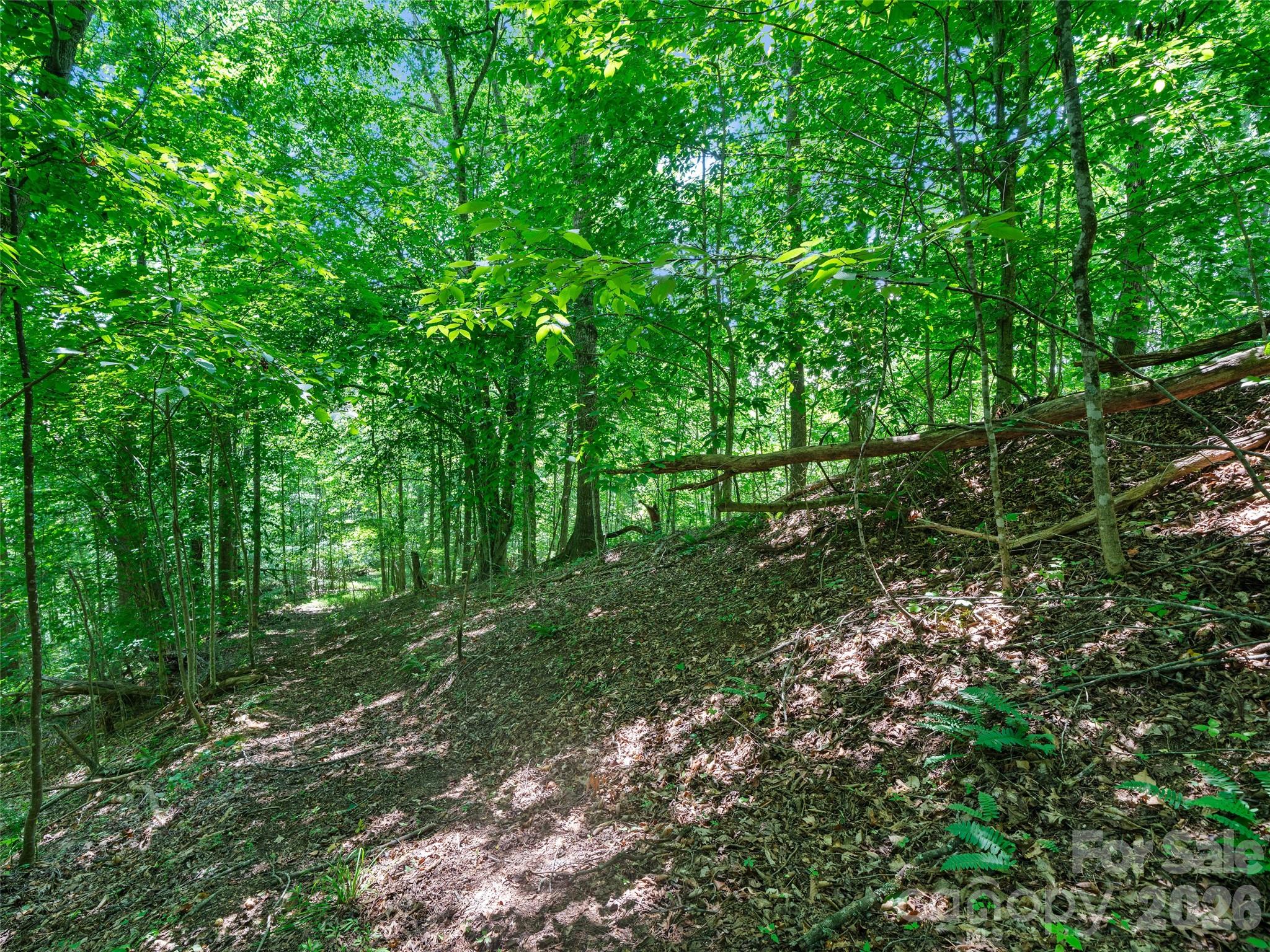 1377 Langford Branch Road Property Photo 23