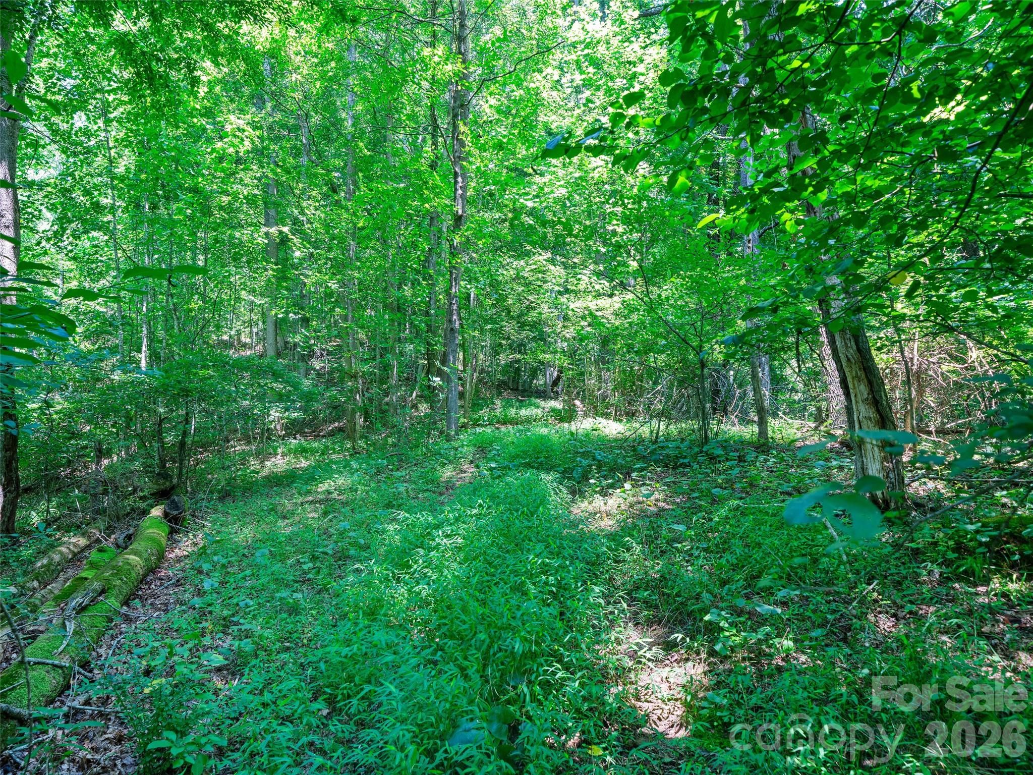 1377 Langford Branch Road Property Photo 24