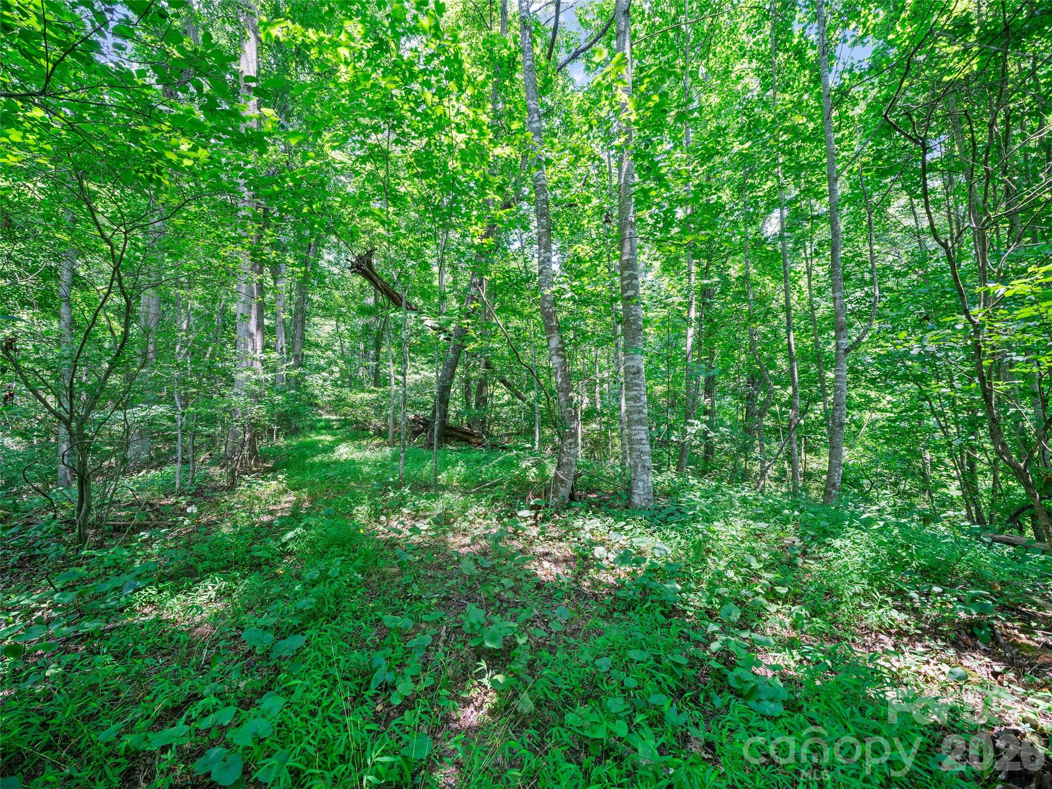 1377 Langford Branch Road Property Photo 25
