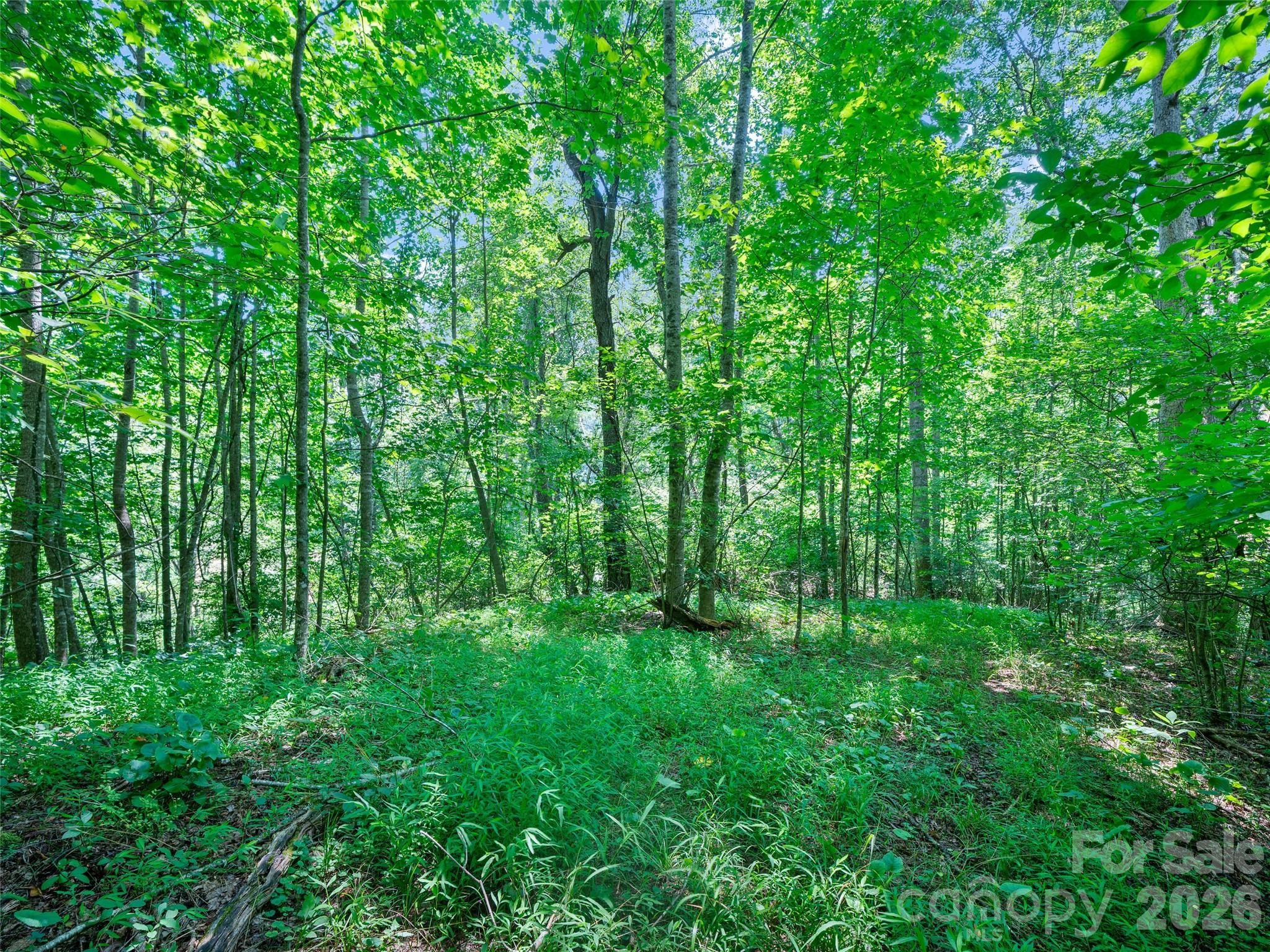 1377 Langford Branch Road Property Photo 26