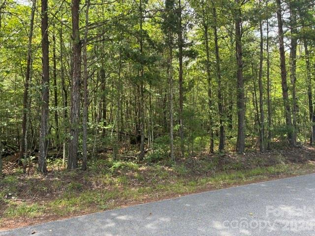 Lot 33 Justice Drive 33 Property Photo 1