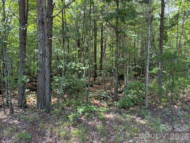 Lot 33 Justice Drive 33 Property Photo 2