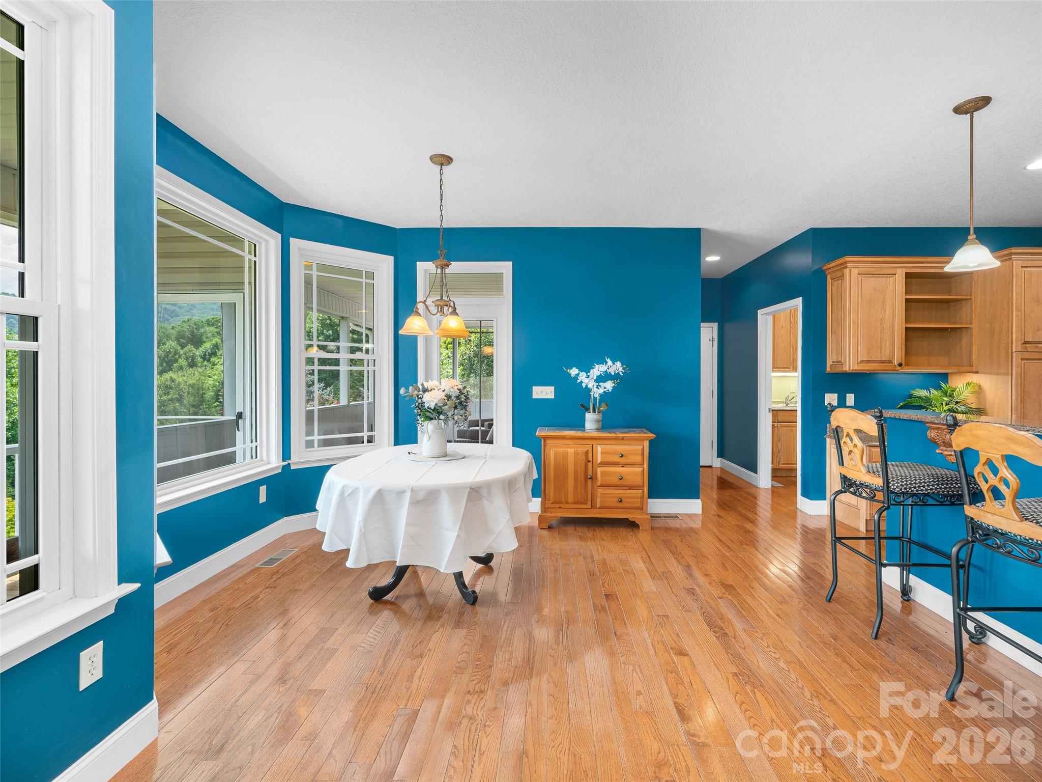 119 Horseshoe Trail Property Photo 8