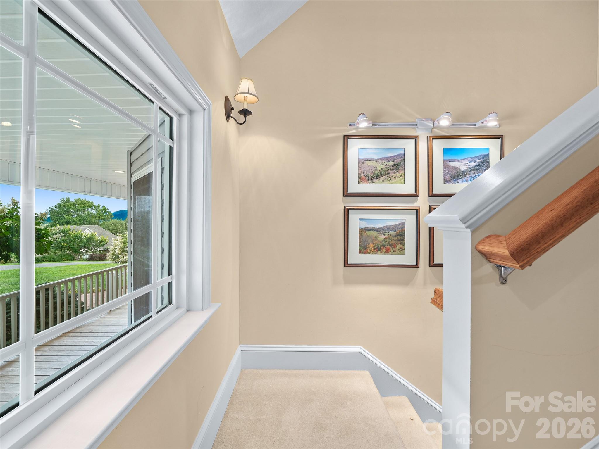 119 Horseshoe Trail Property Photo 29