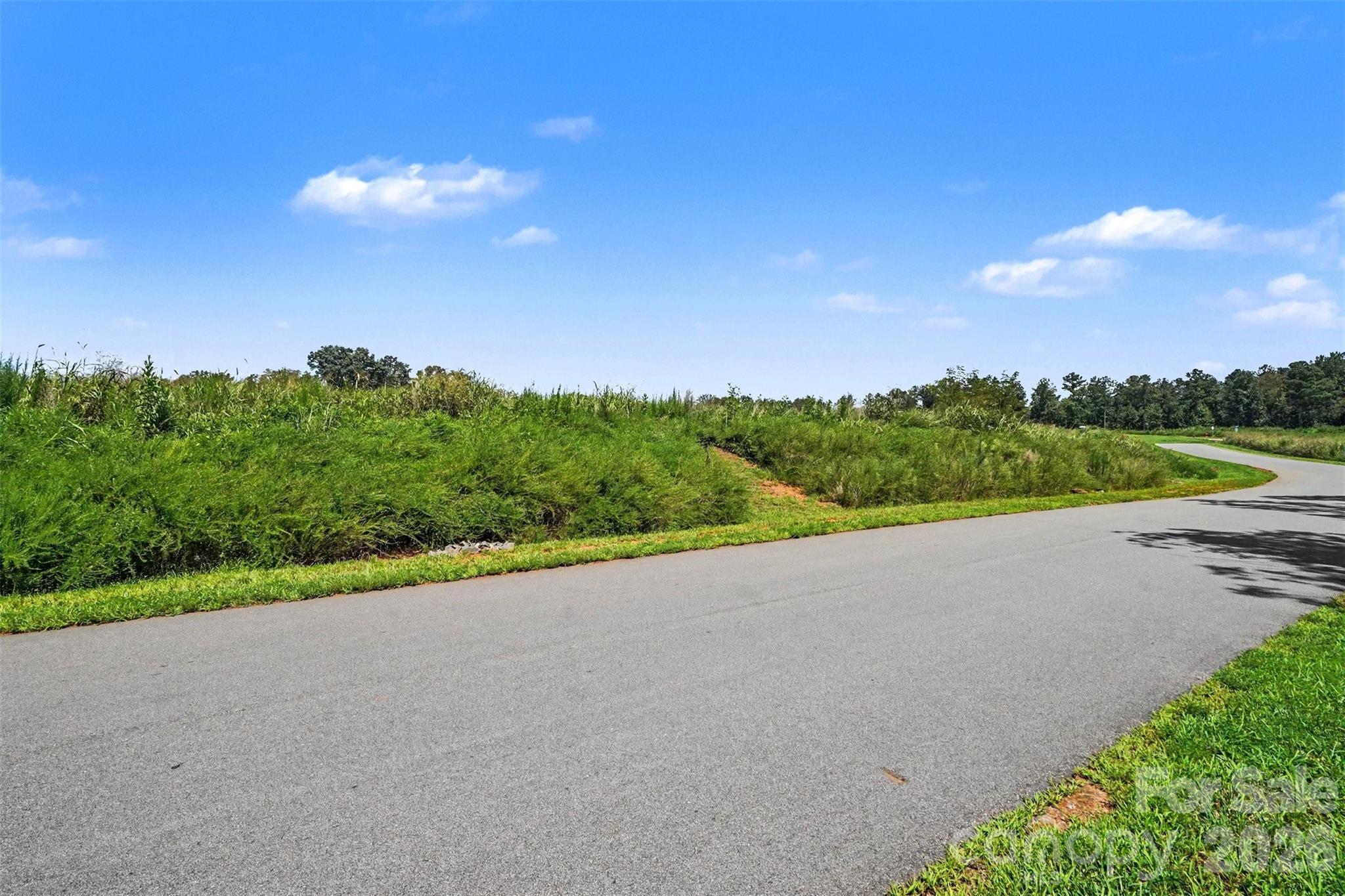 1515 Jumping Run Property Photo 3