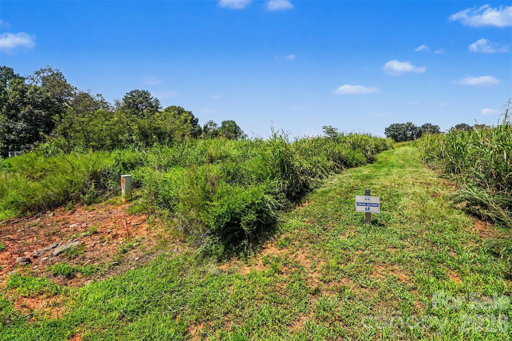 1515 Jumping Run Property Photo 34