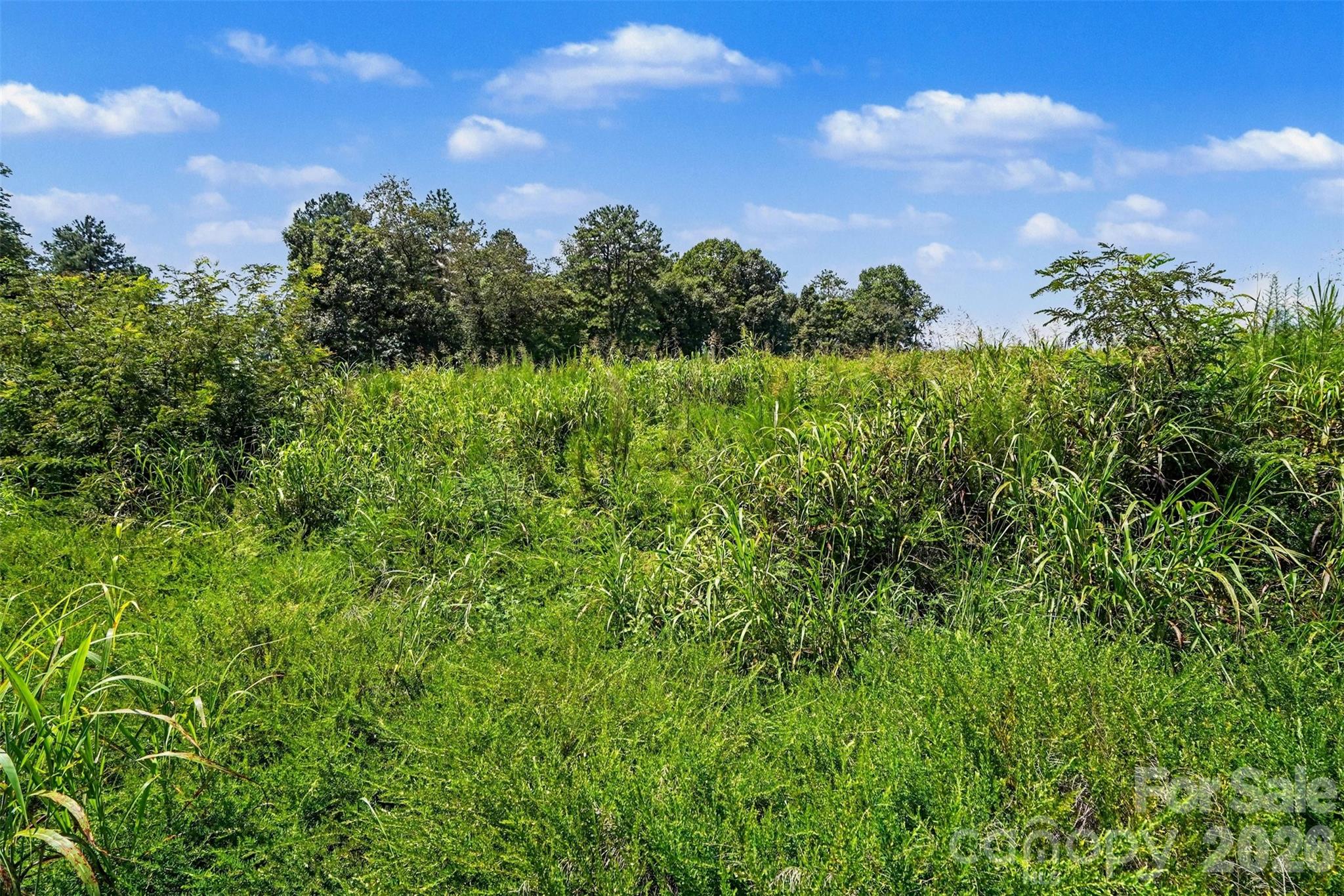 1515 Jumping Run Property Photo 35