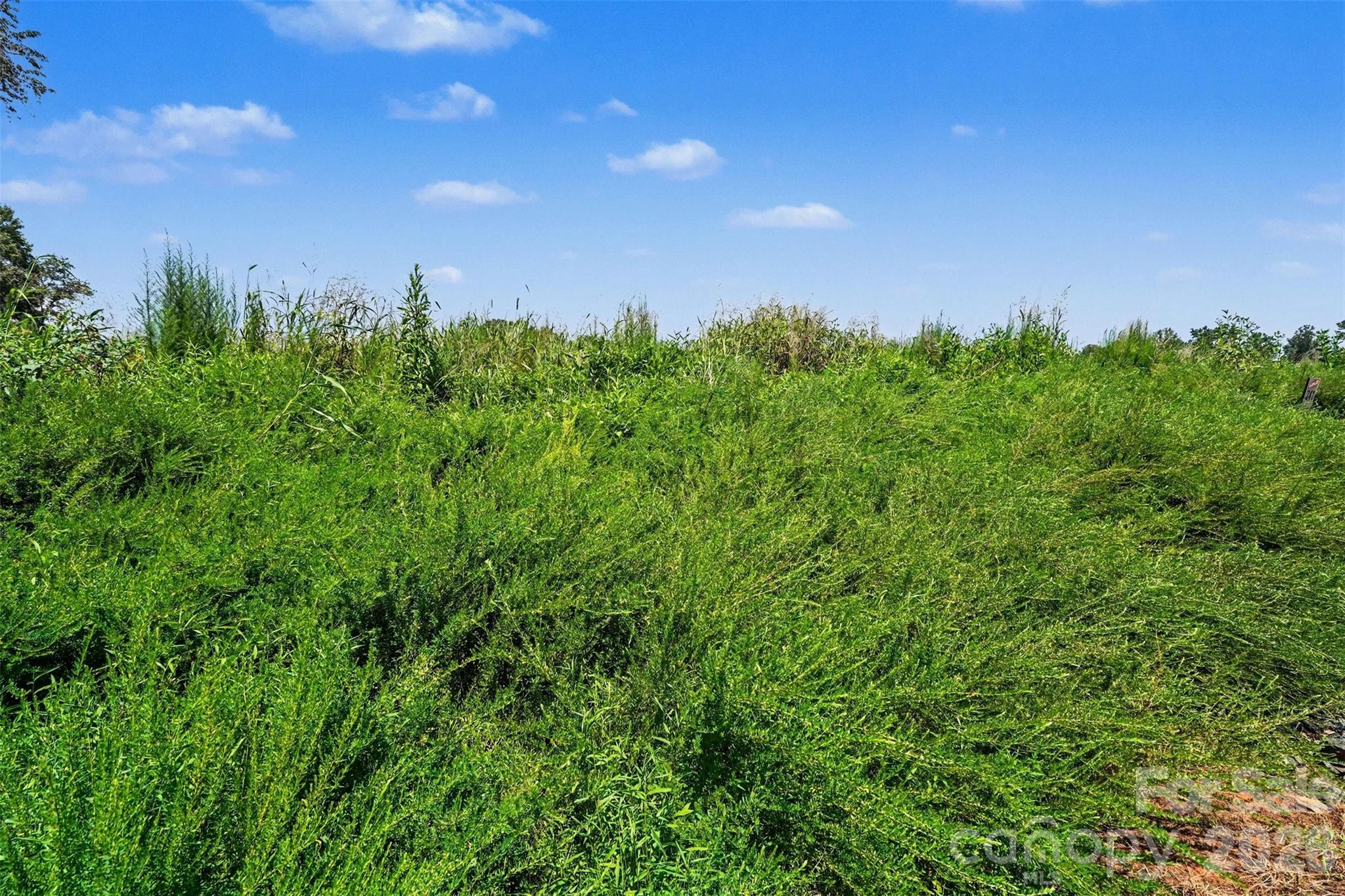 1515 Jumping Run Property Photo 36