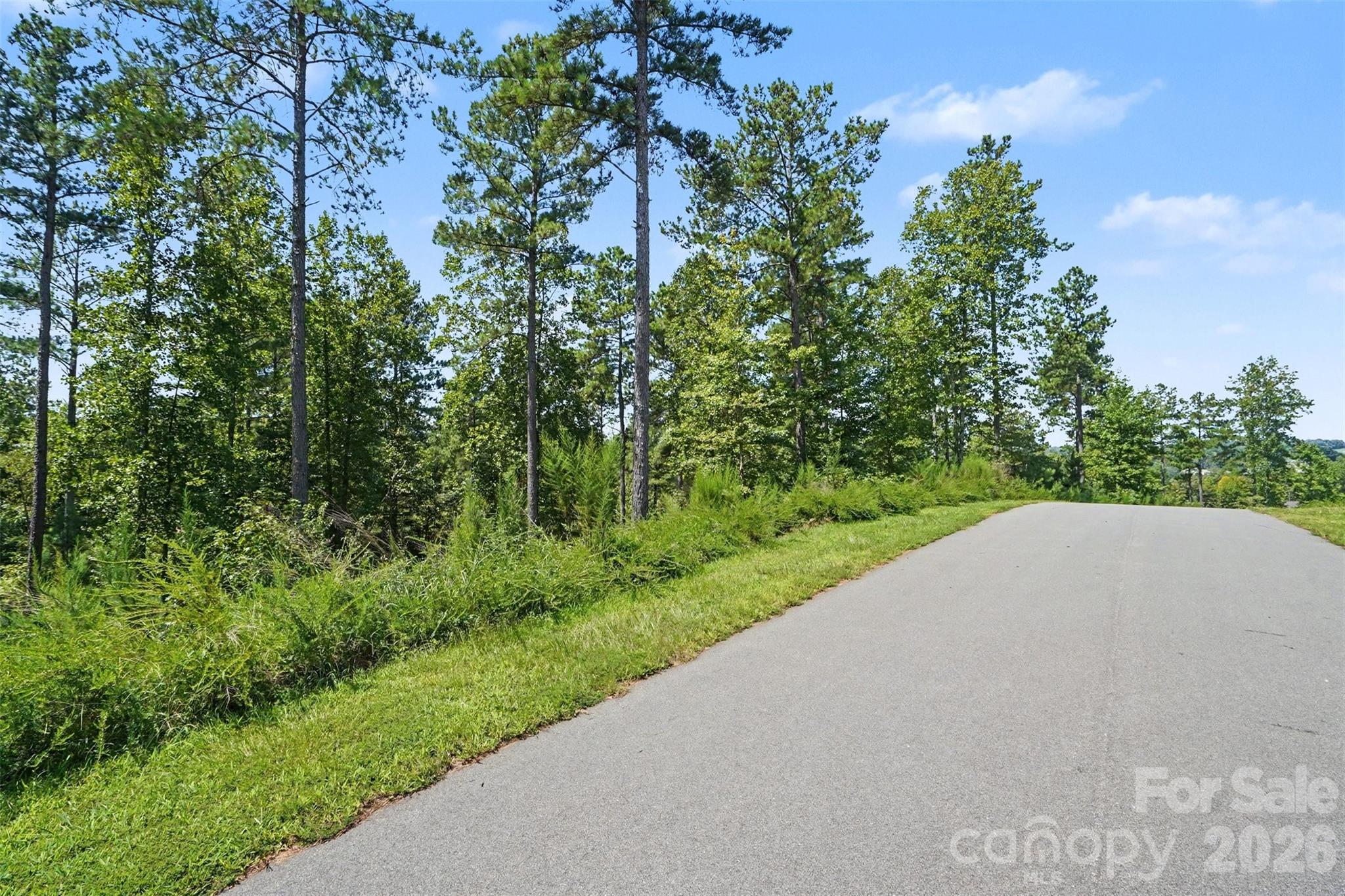3131 Belford Trail Property Photo 16