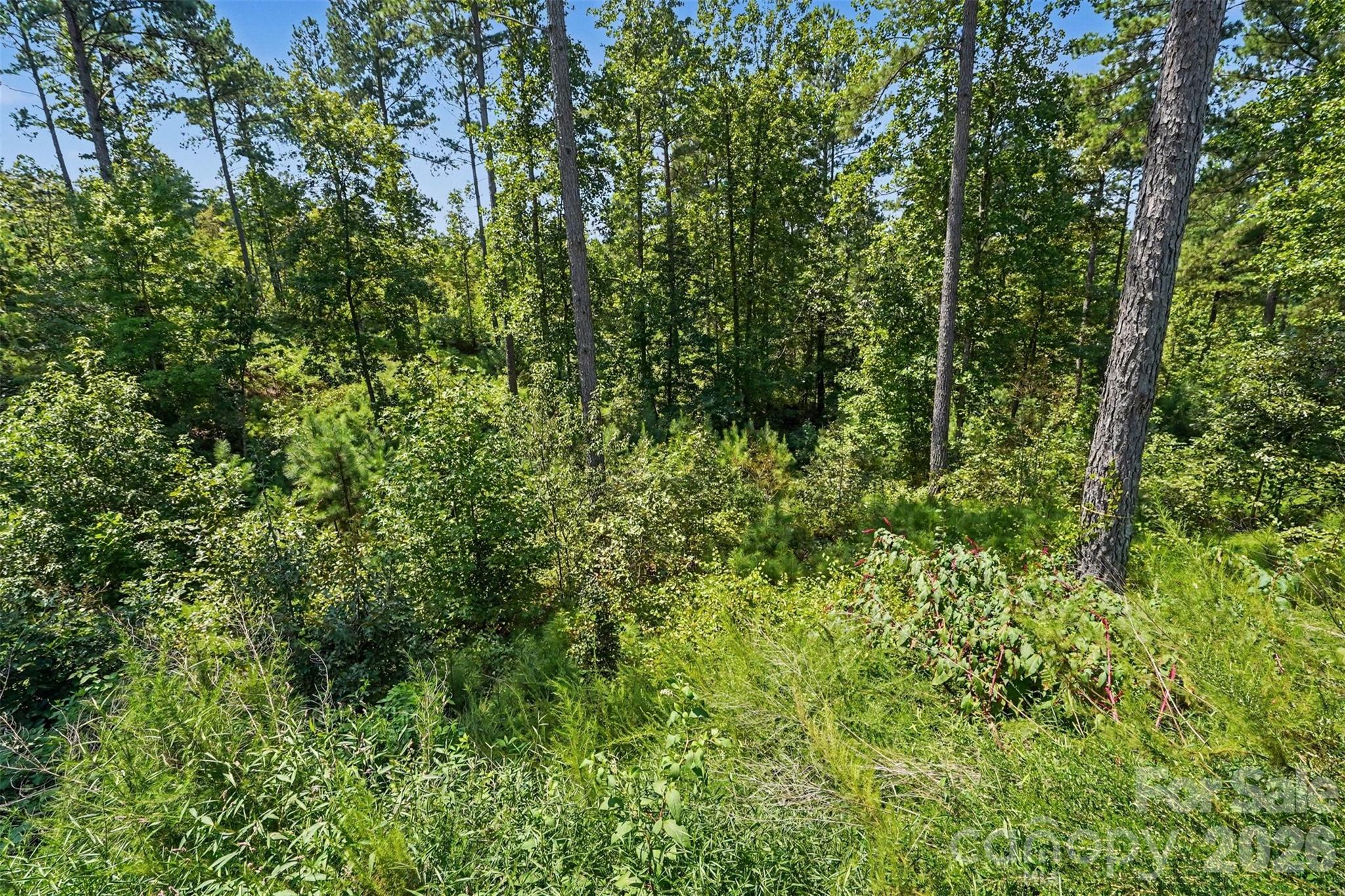 3131 Belford Trail Property Photo 17