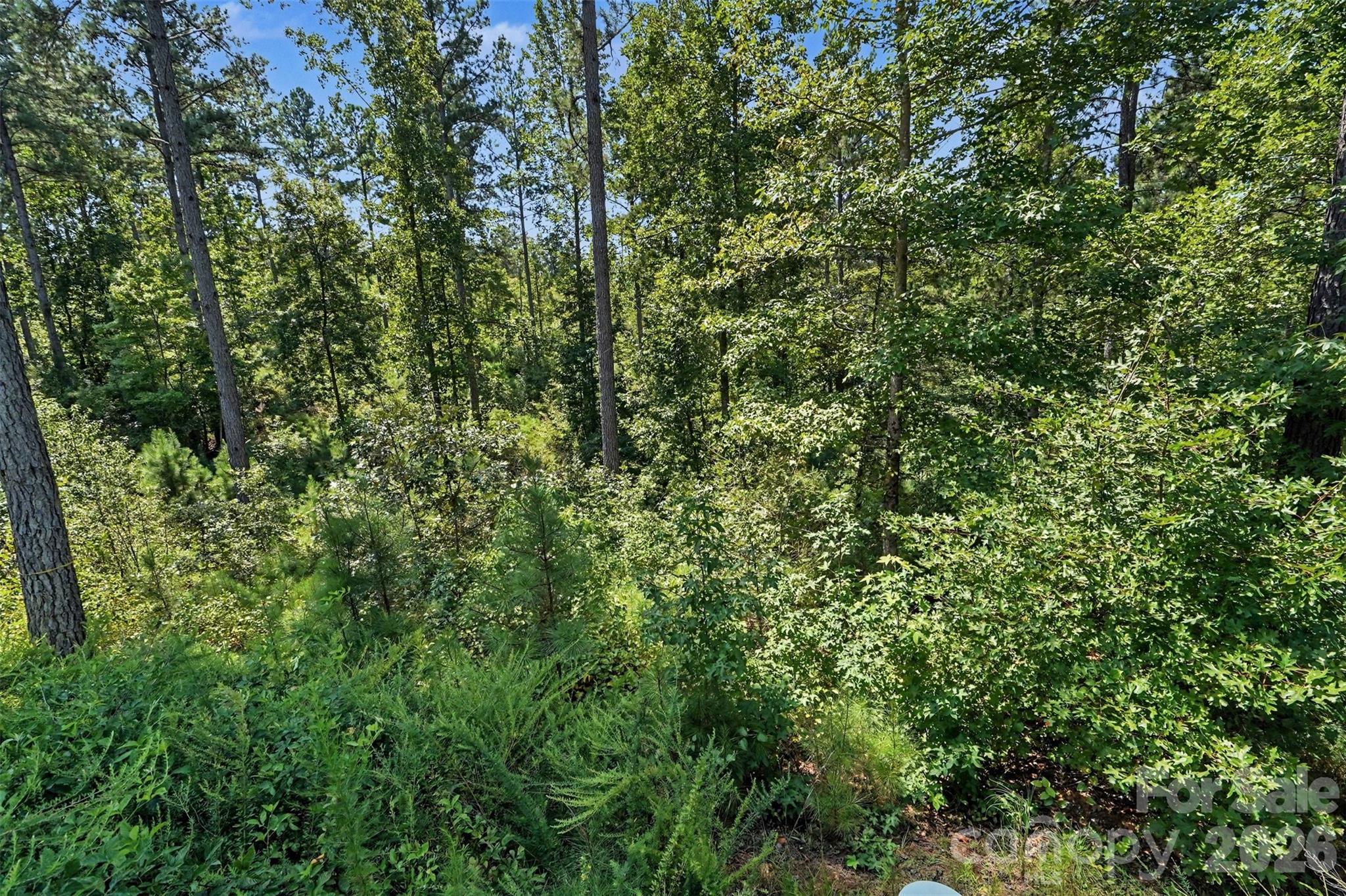 3131 Belford Trail Property Photo 18
