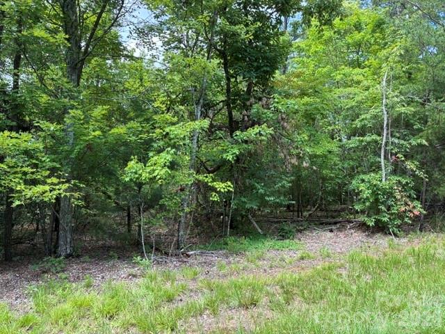 Lot 32 Justice Drive 32 Property Photo 1