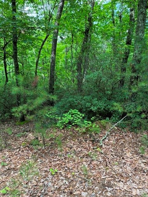 Lot 32 Justice Drive 32 Property Photo 6