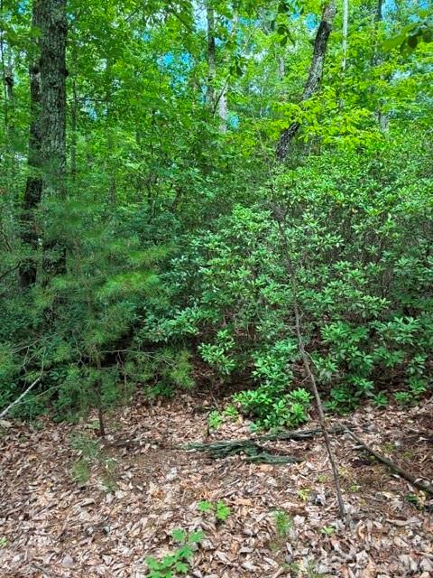 Lot 32 Justice Drive 32 Property Photo 7