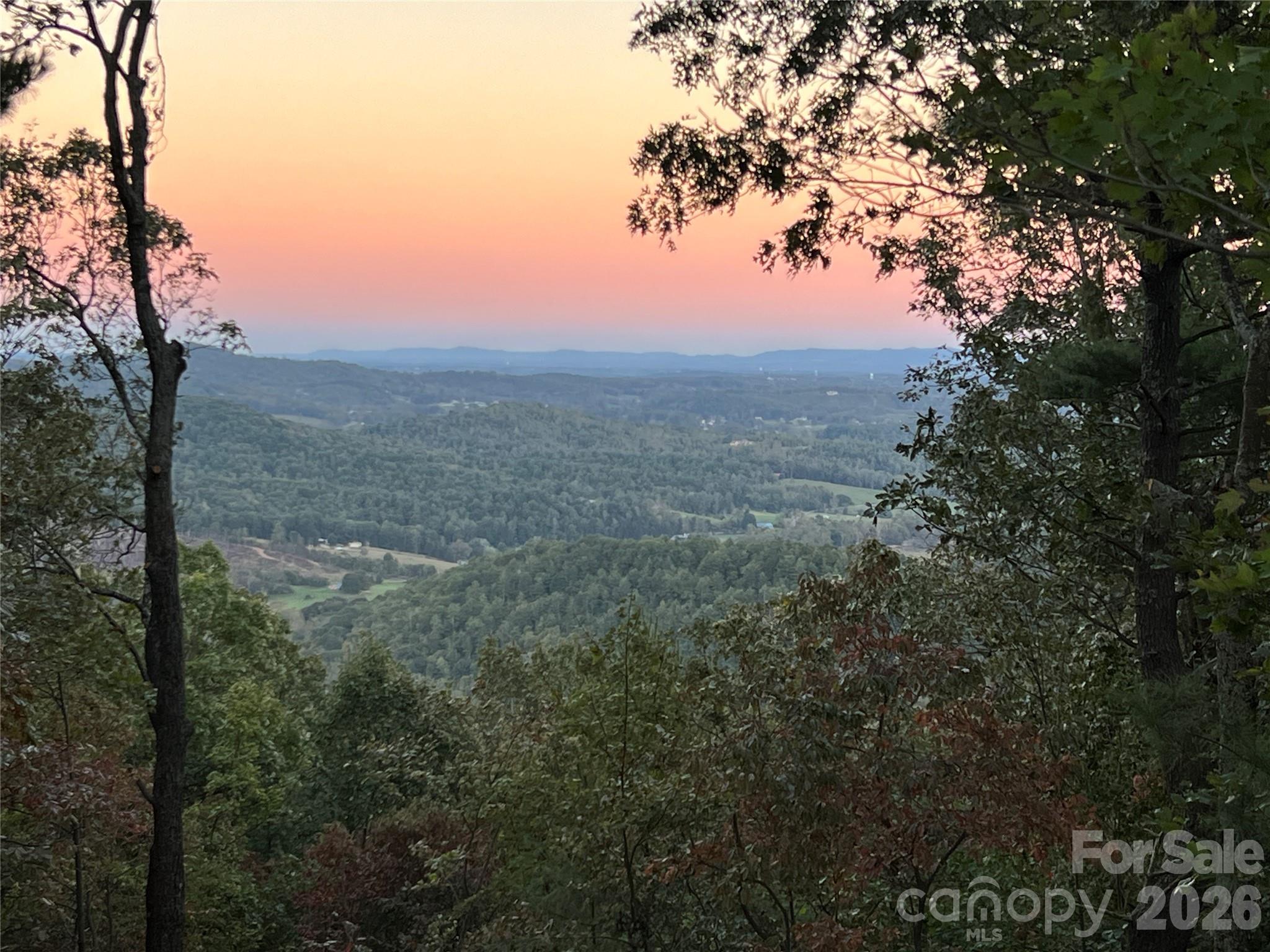 345 Chalk Dust Trail Property Photo 5