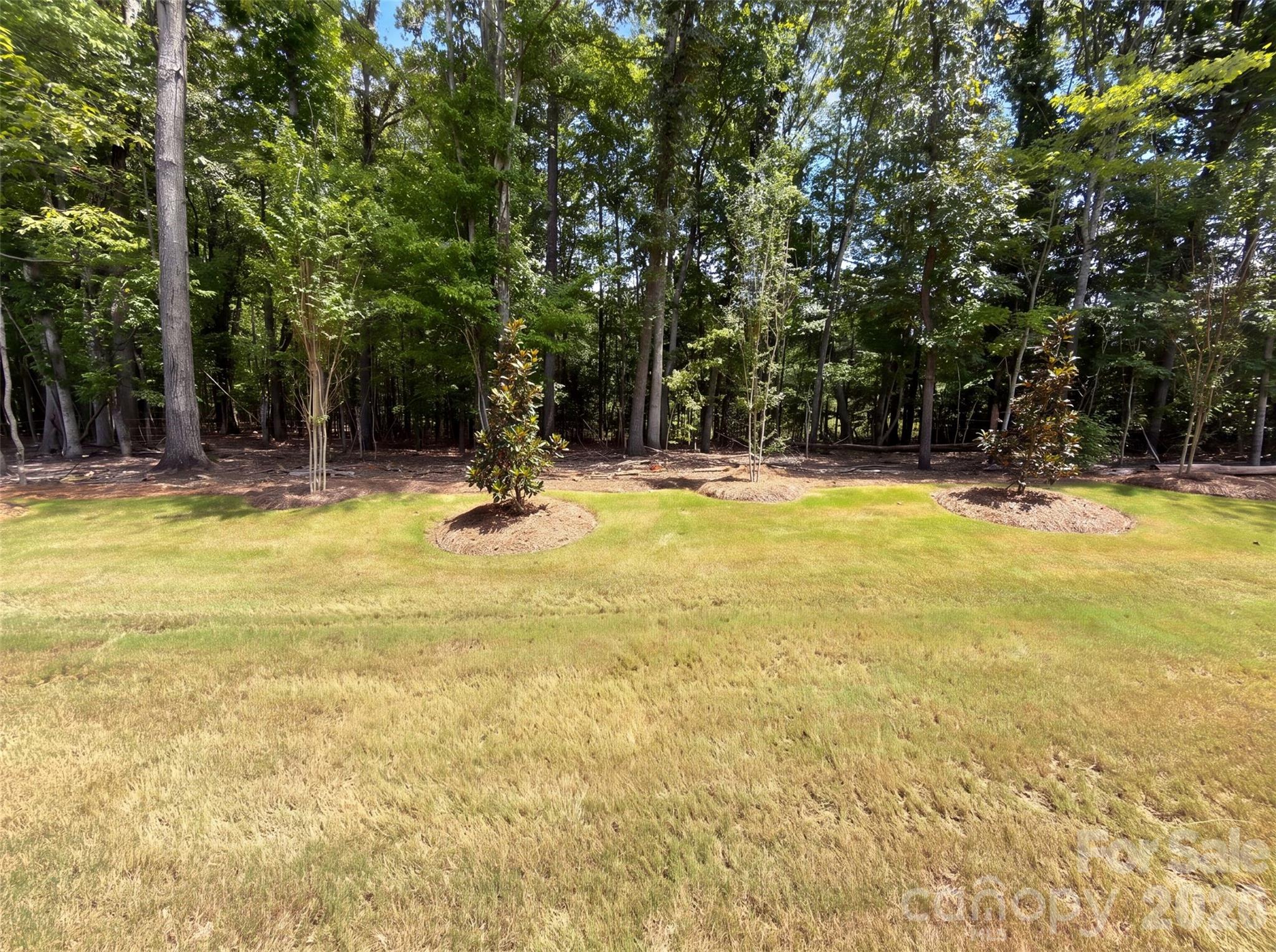 1032 Bandon Drive Property Photo 18