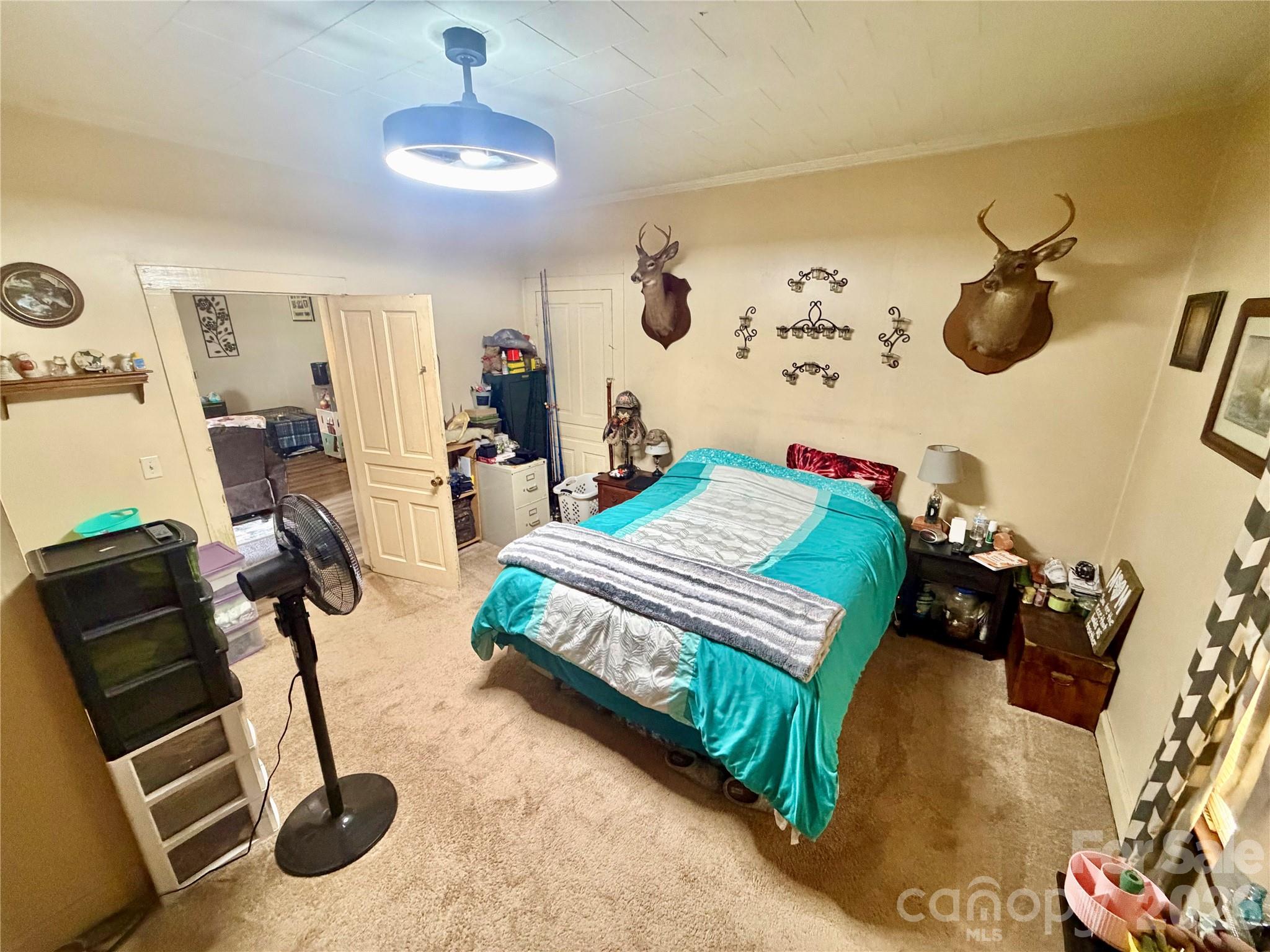 45 Alexander Road Property Photo 19