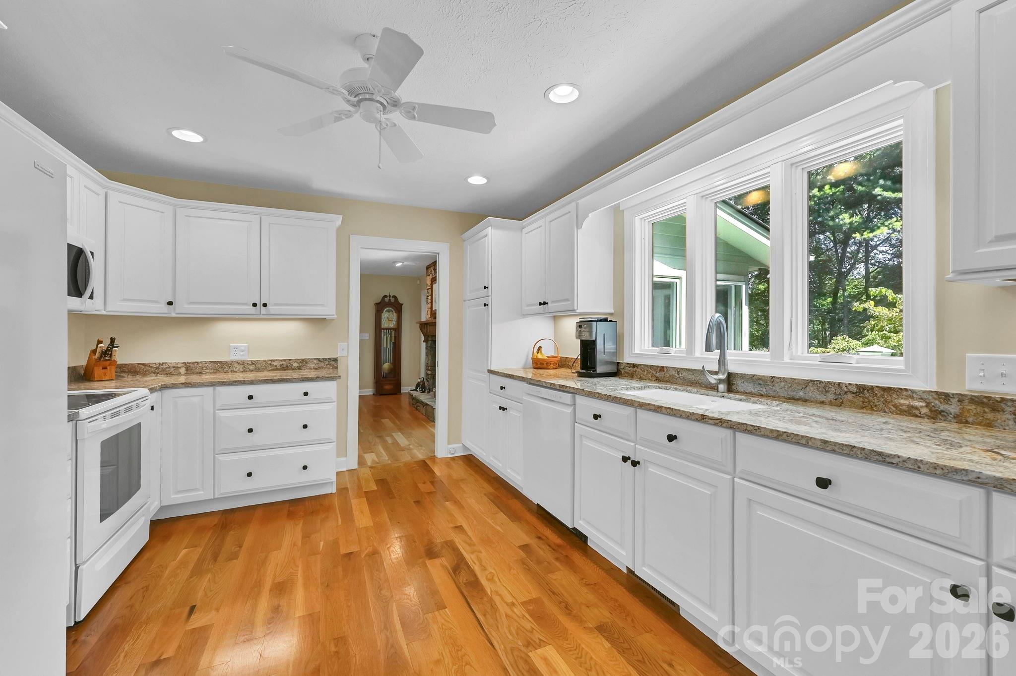 3 Rodney Court Property Photo 22