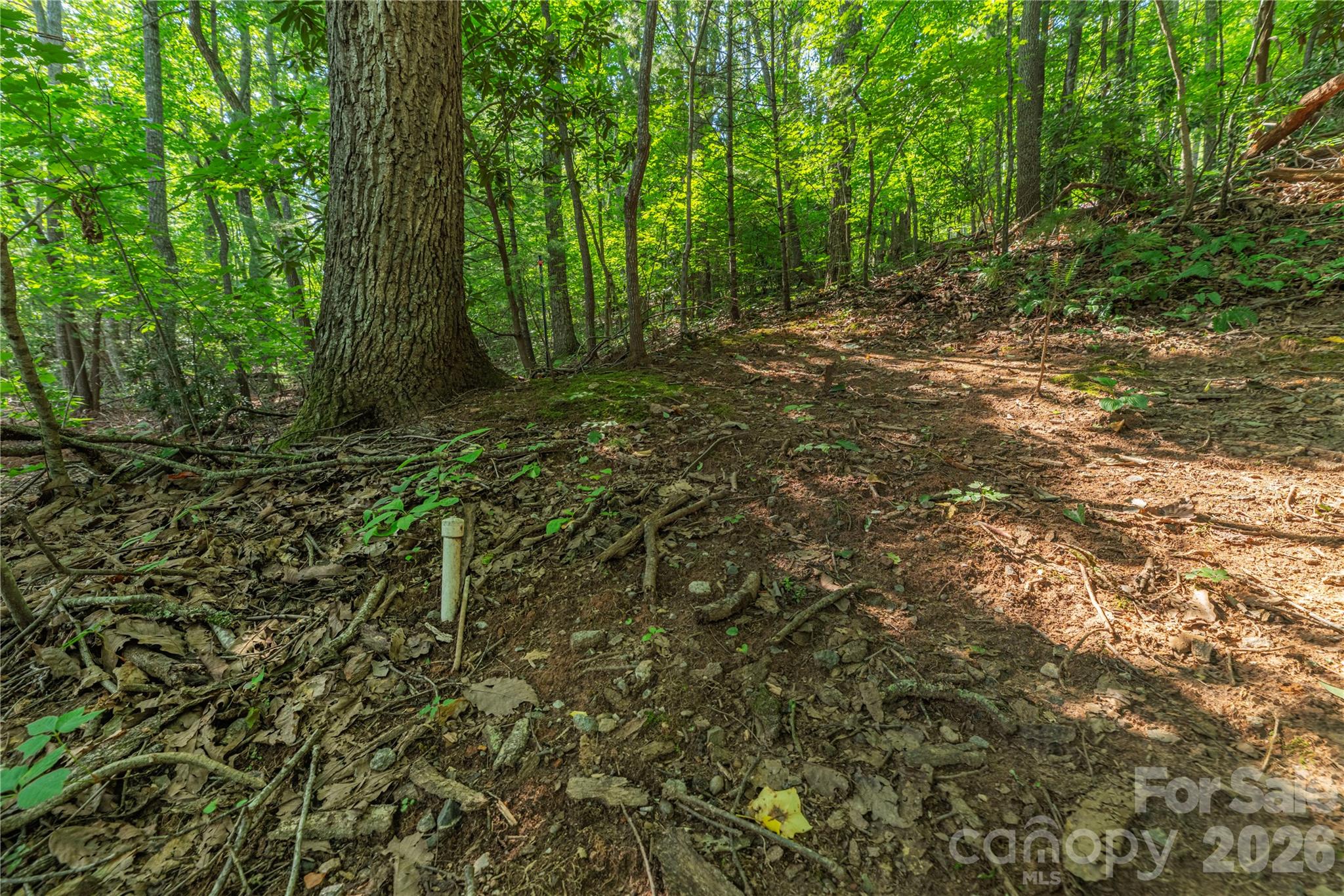 99999 Claru Ridge Property Photo 4