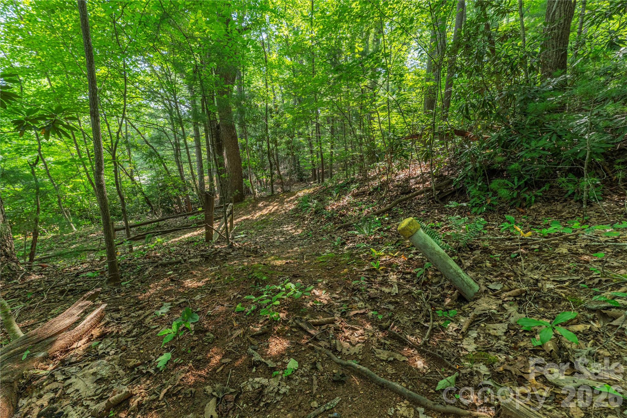 99999 Claru Ridge Property Photo 5
