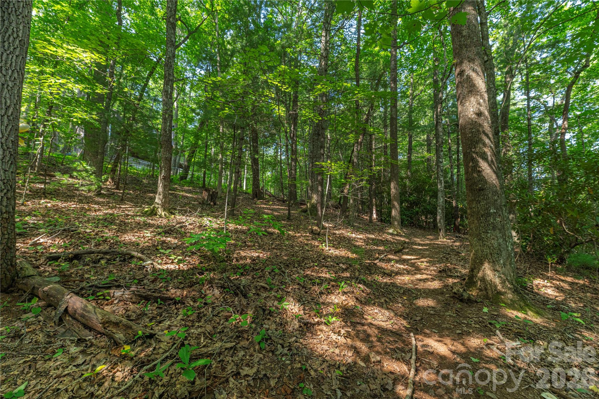 99999 Claru Ridge Property Photo 6