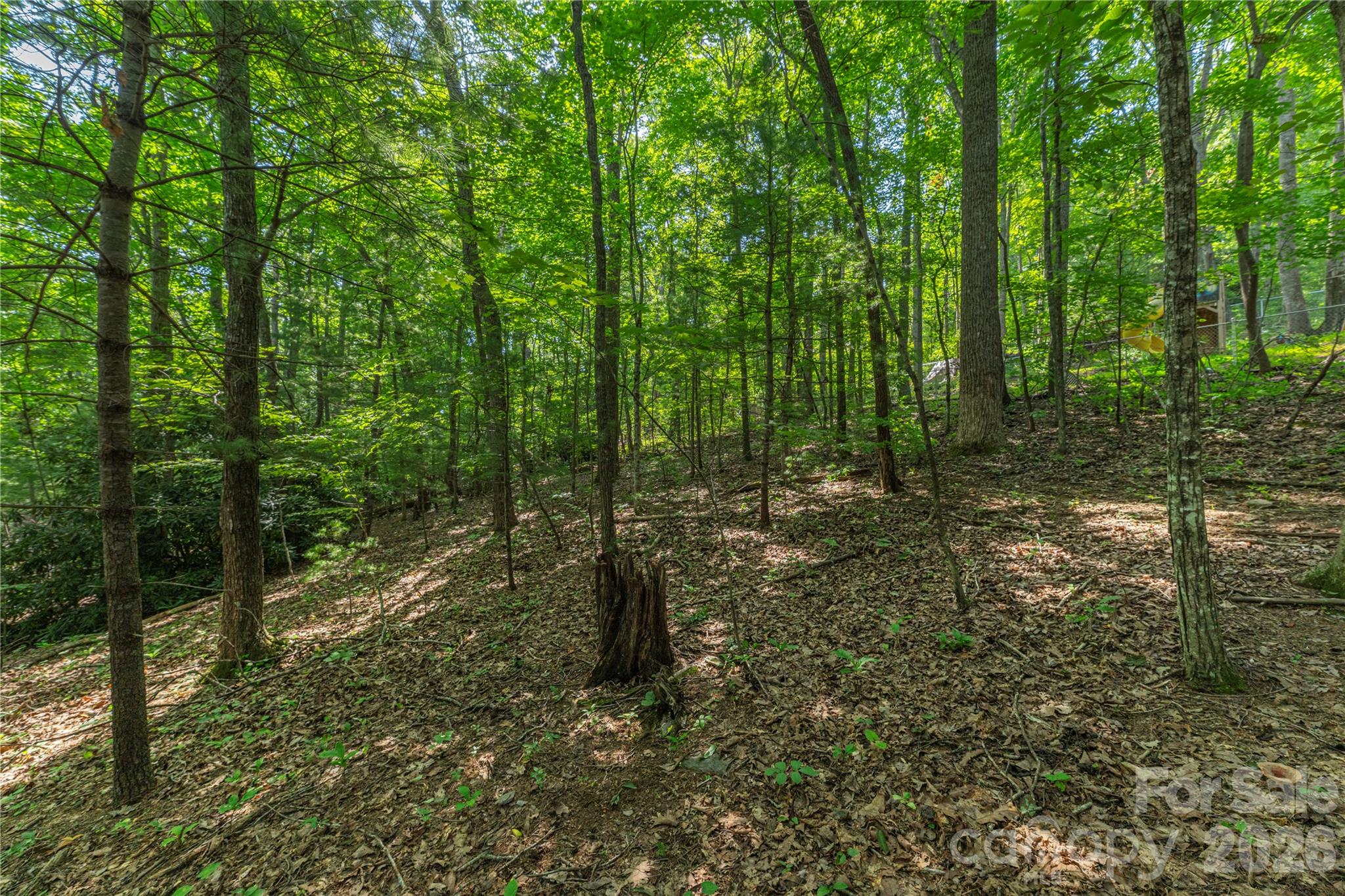 99999 Claru Ridge Property Photo 7