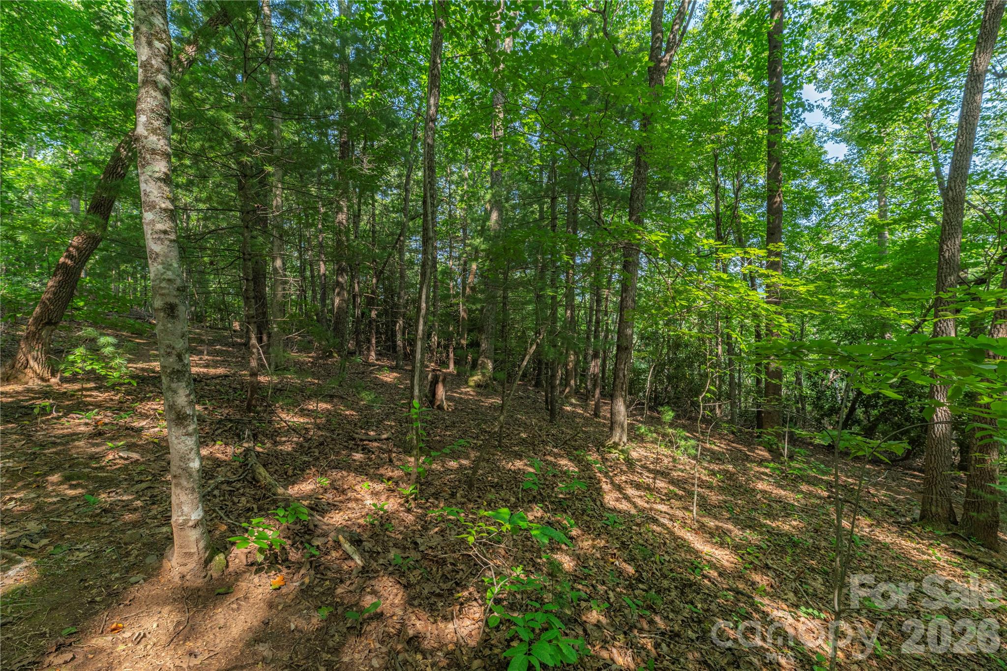 99999 Claru Ridge Property Photo 8