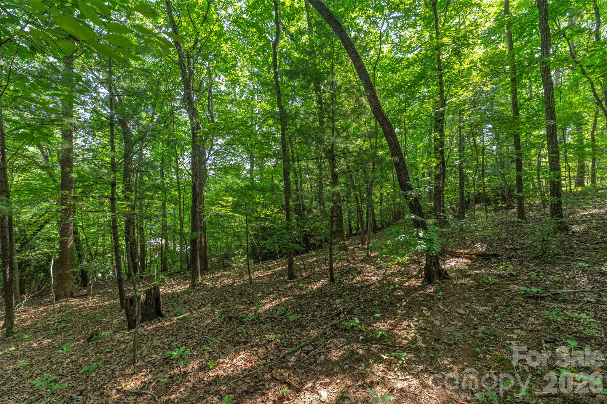 99999 Claru Ridge Property Photo 9