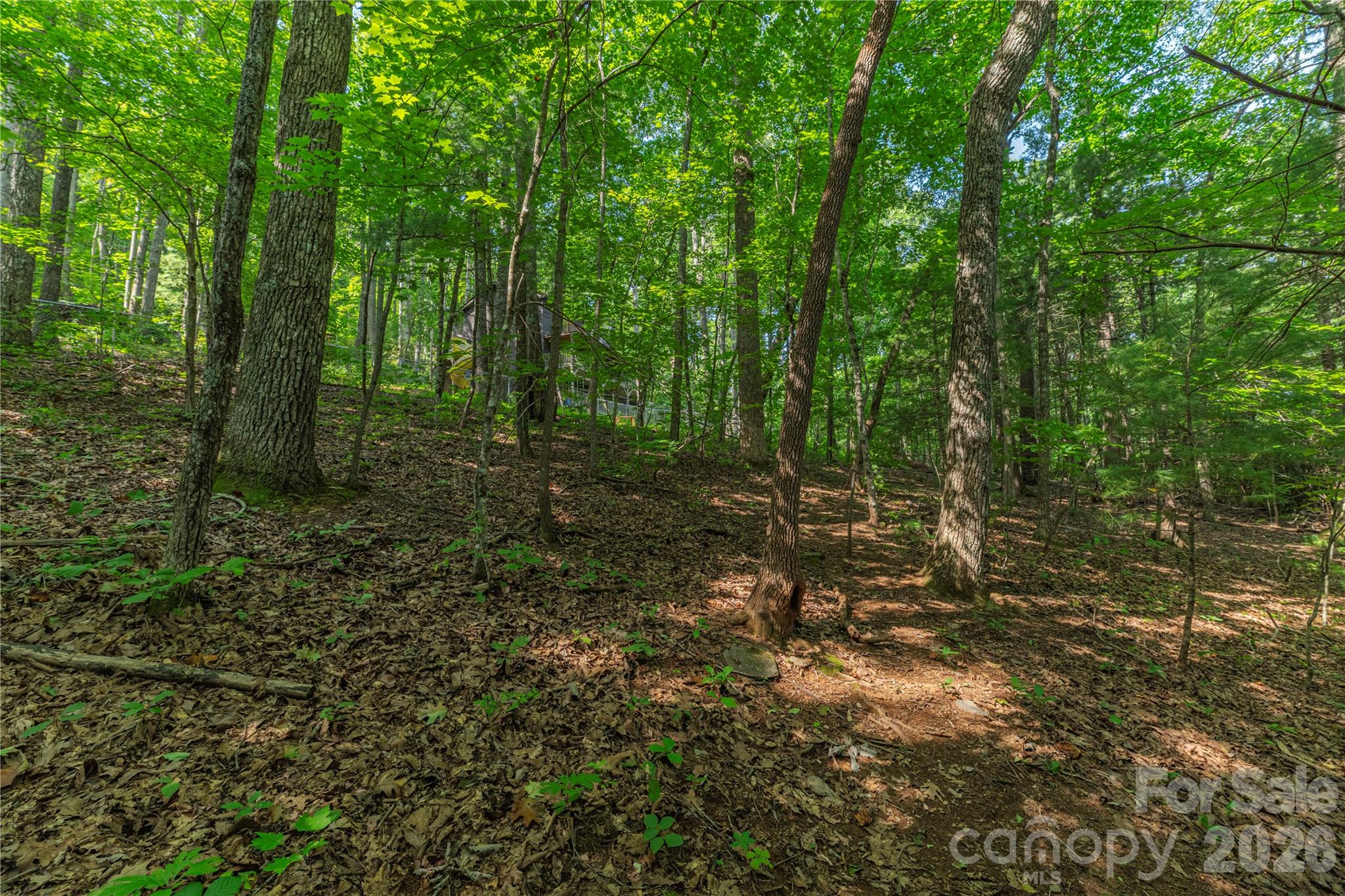 99999 Claru Ridge Property Photo 10