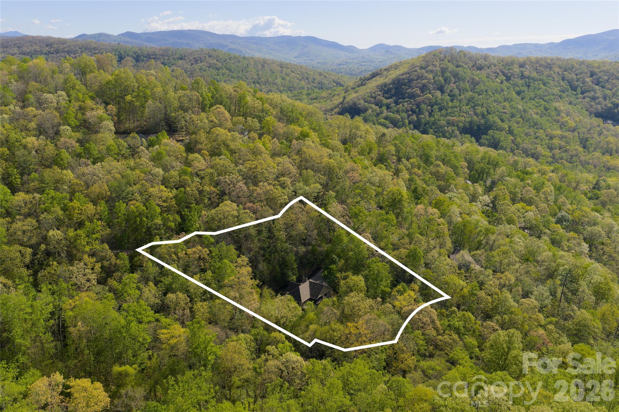 36 Snowshoe Drive Property Photo 9