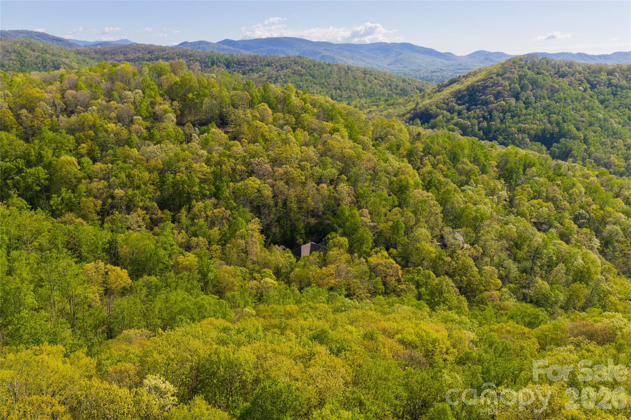 36 Snowshoe Drive Property Photo 11