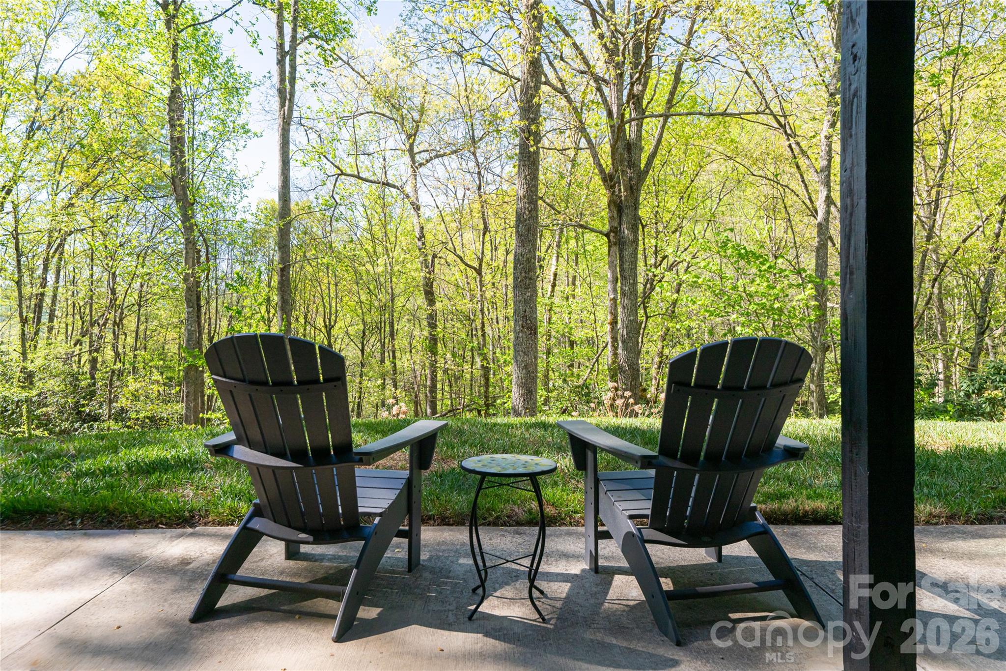 36 Snowshoe Drive Property Photo 32