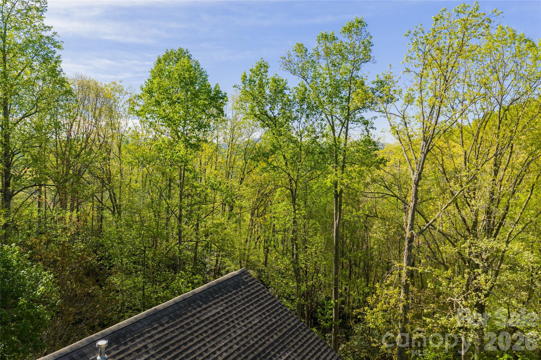 36 Snowshoe Drive Property Photo 39