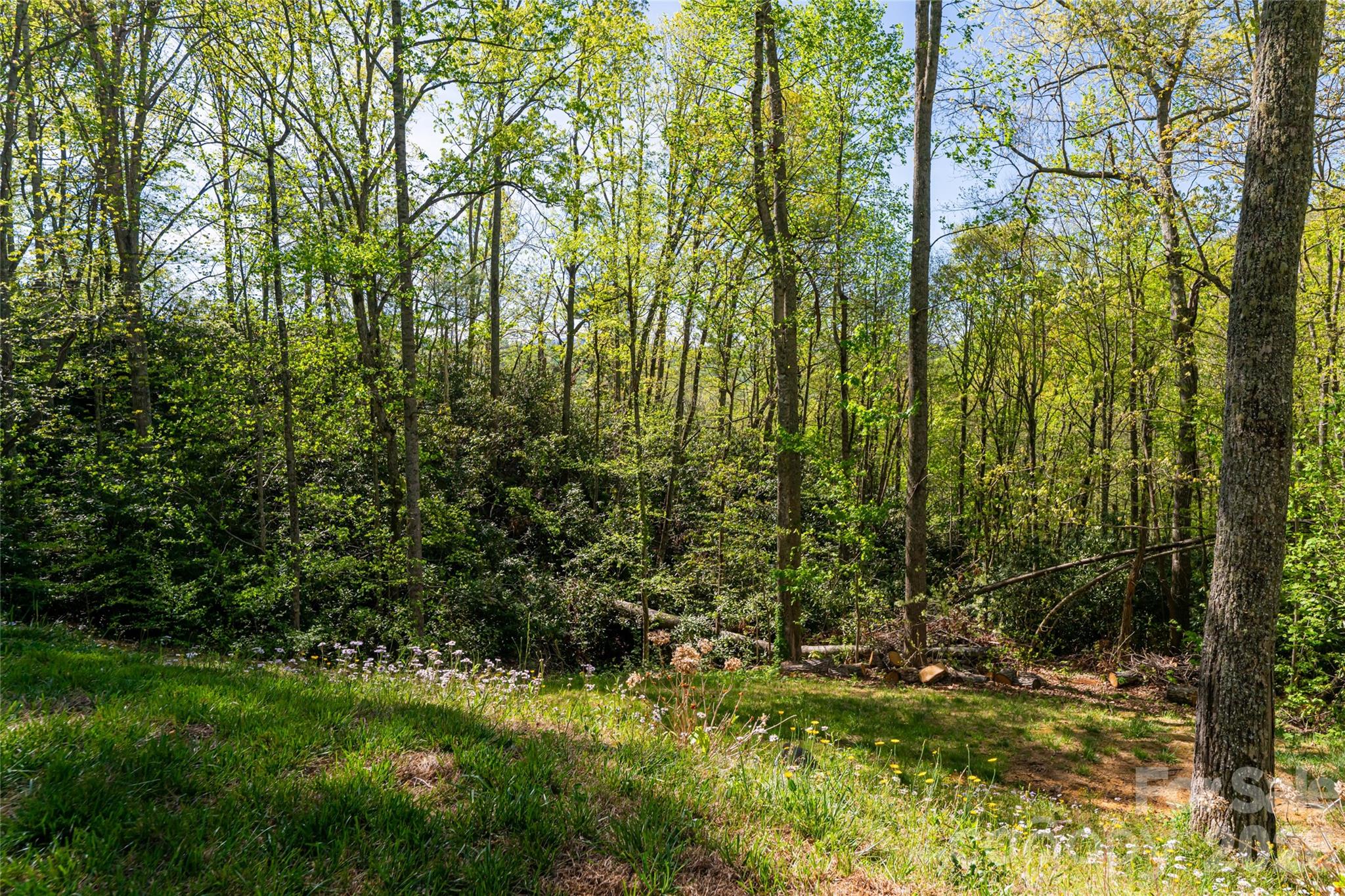 36 Snowshoe Drive Property Photo 45