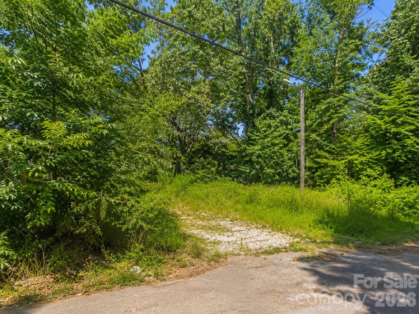 TBD Old Carter Street 1 Property Photo 1