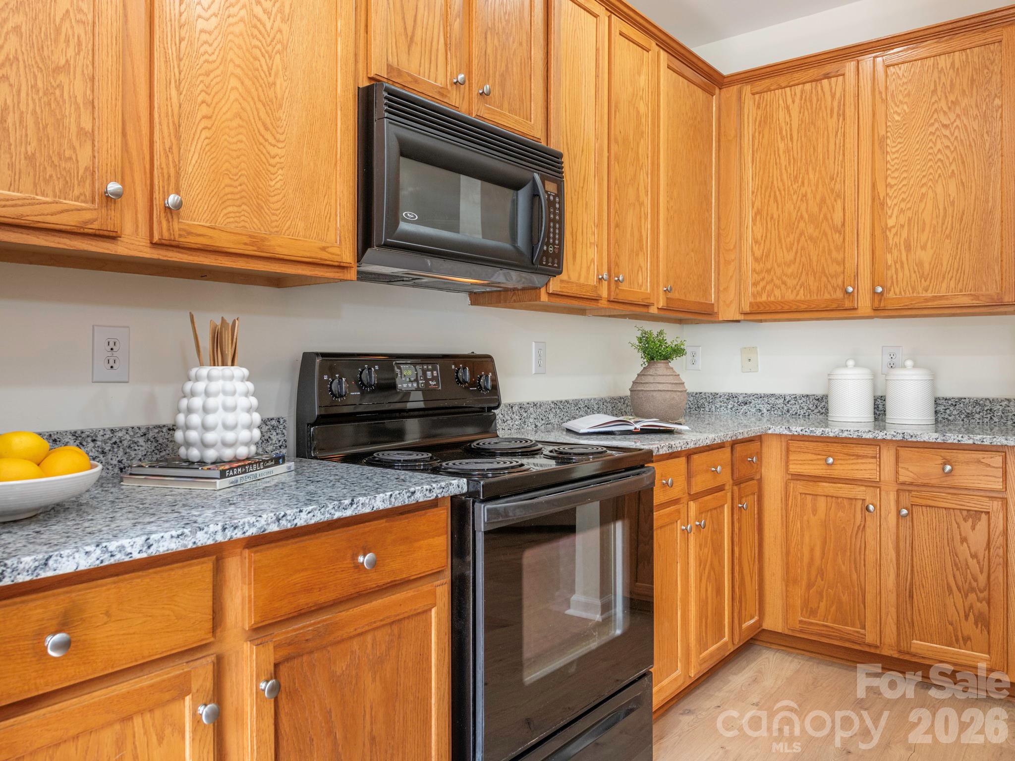 1303 Smokey Quartz Lane 132 Property Photo 2