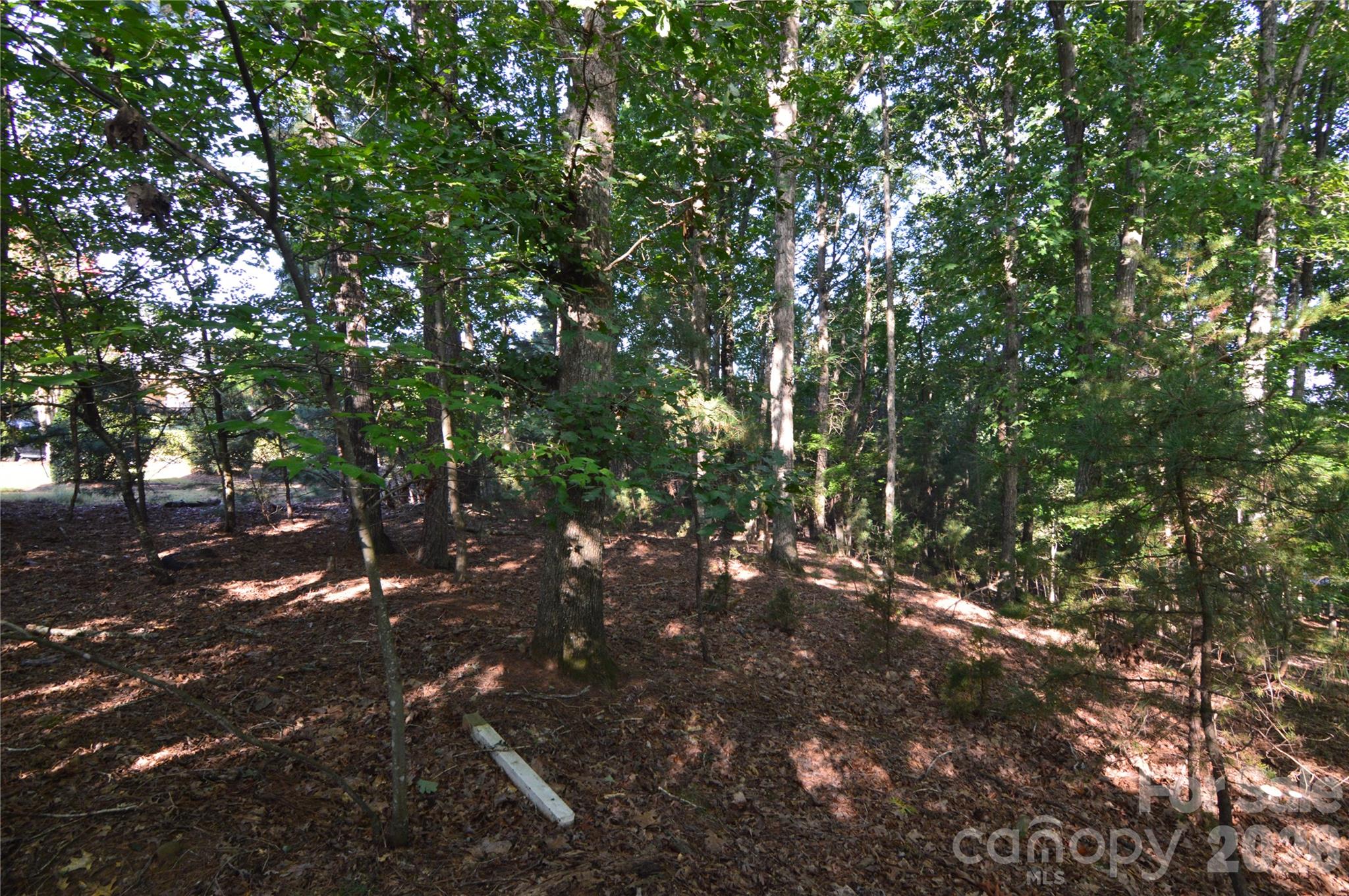 3036 Lake Pointe Drive 170 Property Photo 5