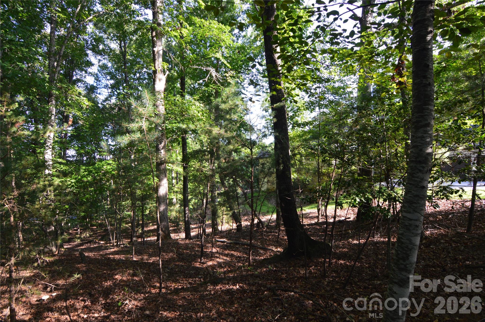 3036 Lake Pointe Drive 170 Property Photo 7