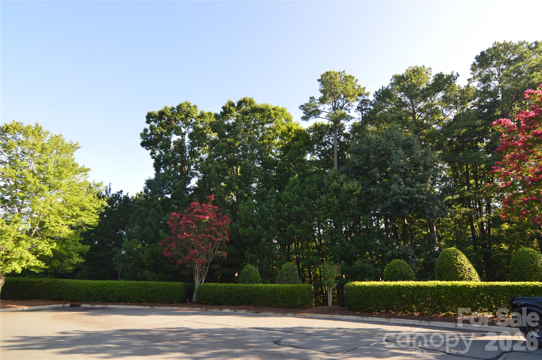 3036 Lake Pointe Drive 170 Property Photo 8