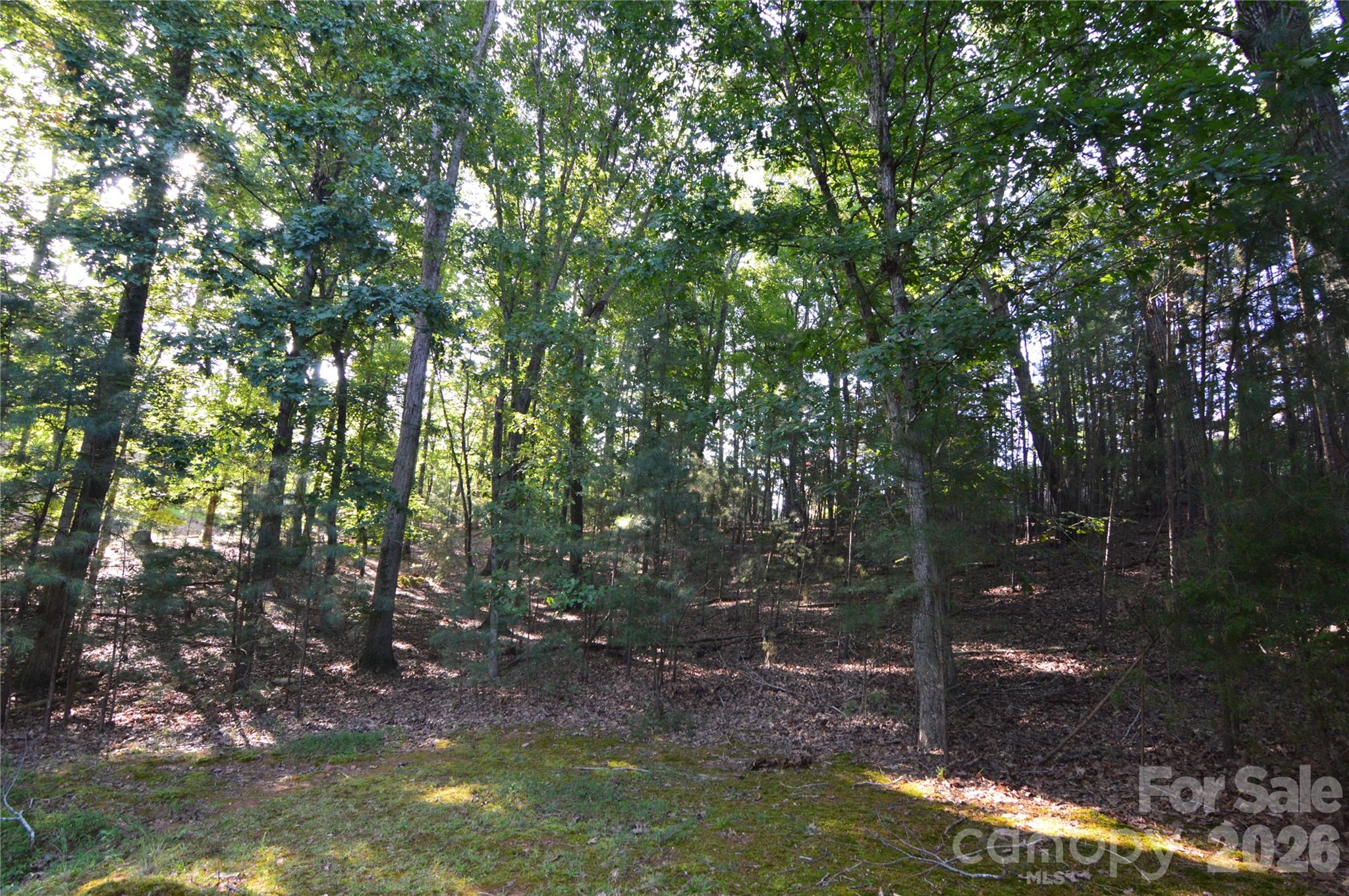 3036 Lake Pointe Drive 170 Property Photo 9